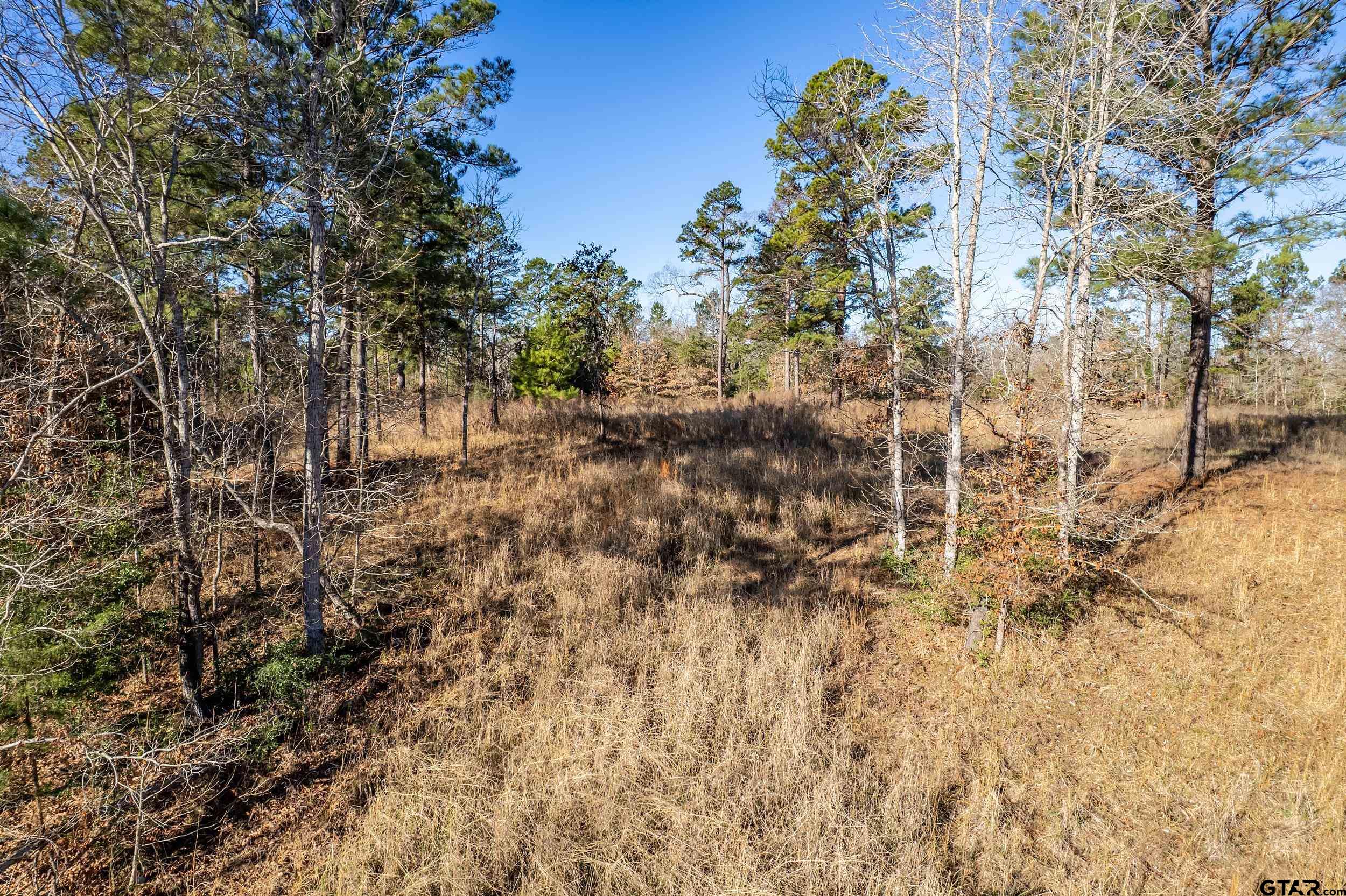 TBD County Road 1231