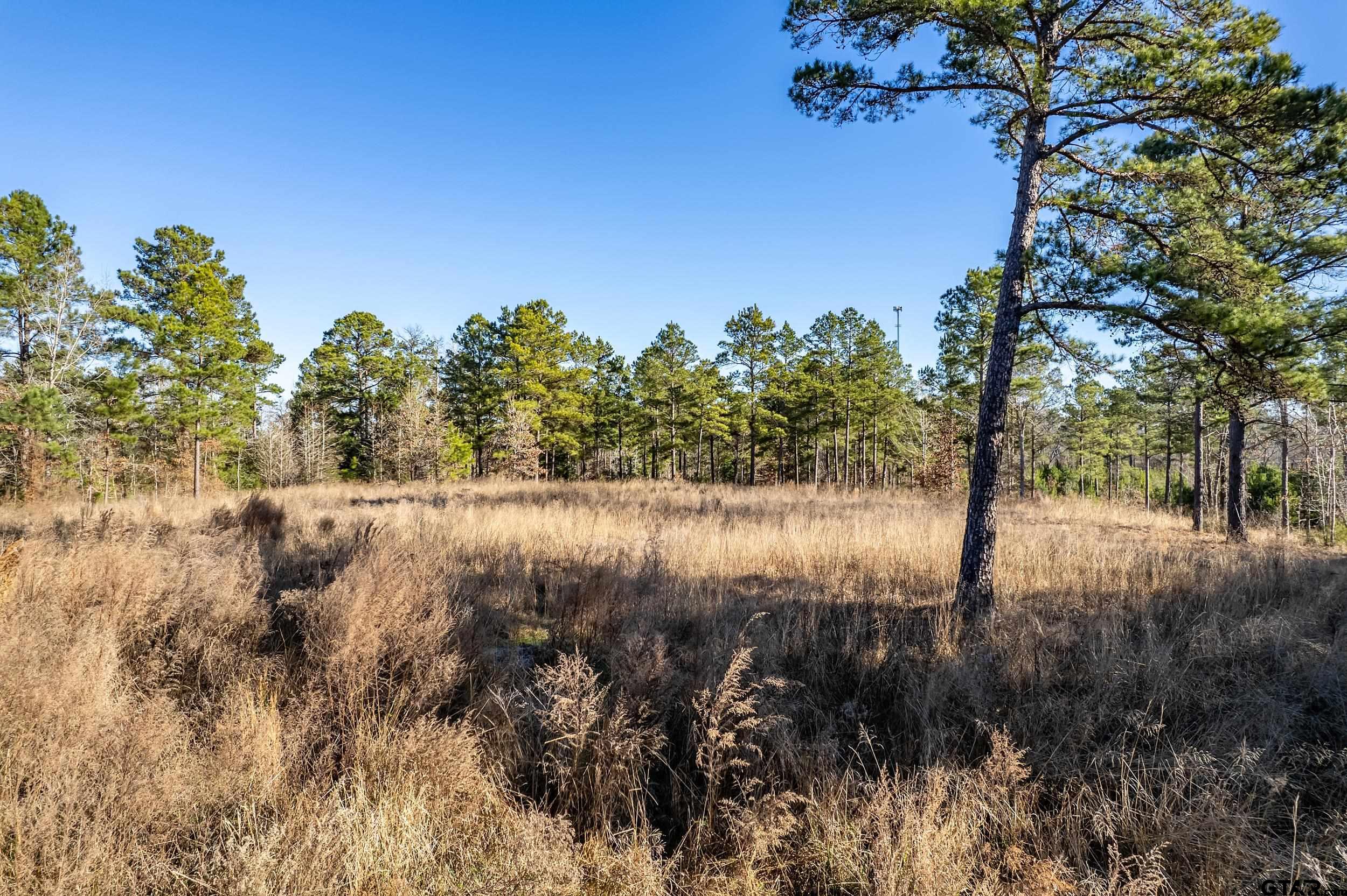 TBD County Road 1231