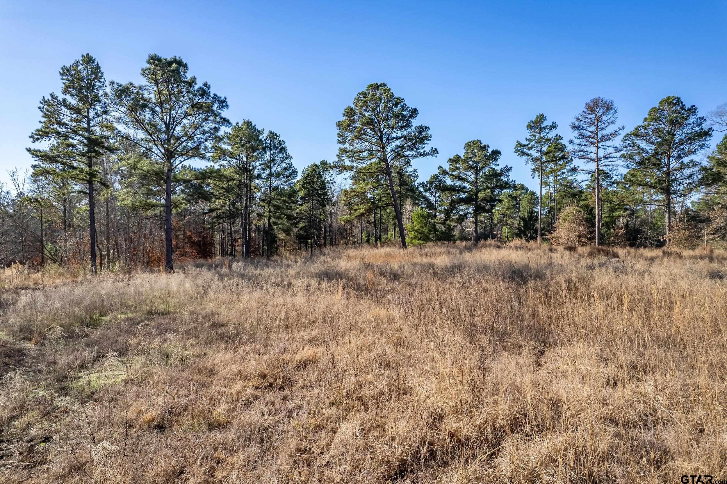 TBD County Road 1231