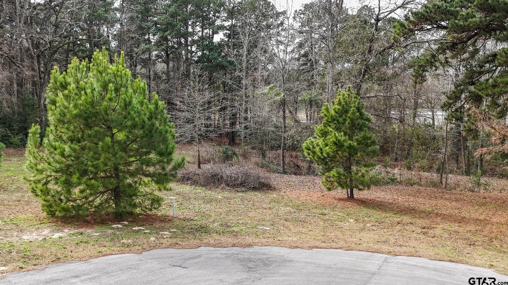 TBD Castleberry RD (Lot 2)