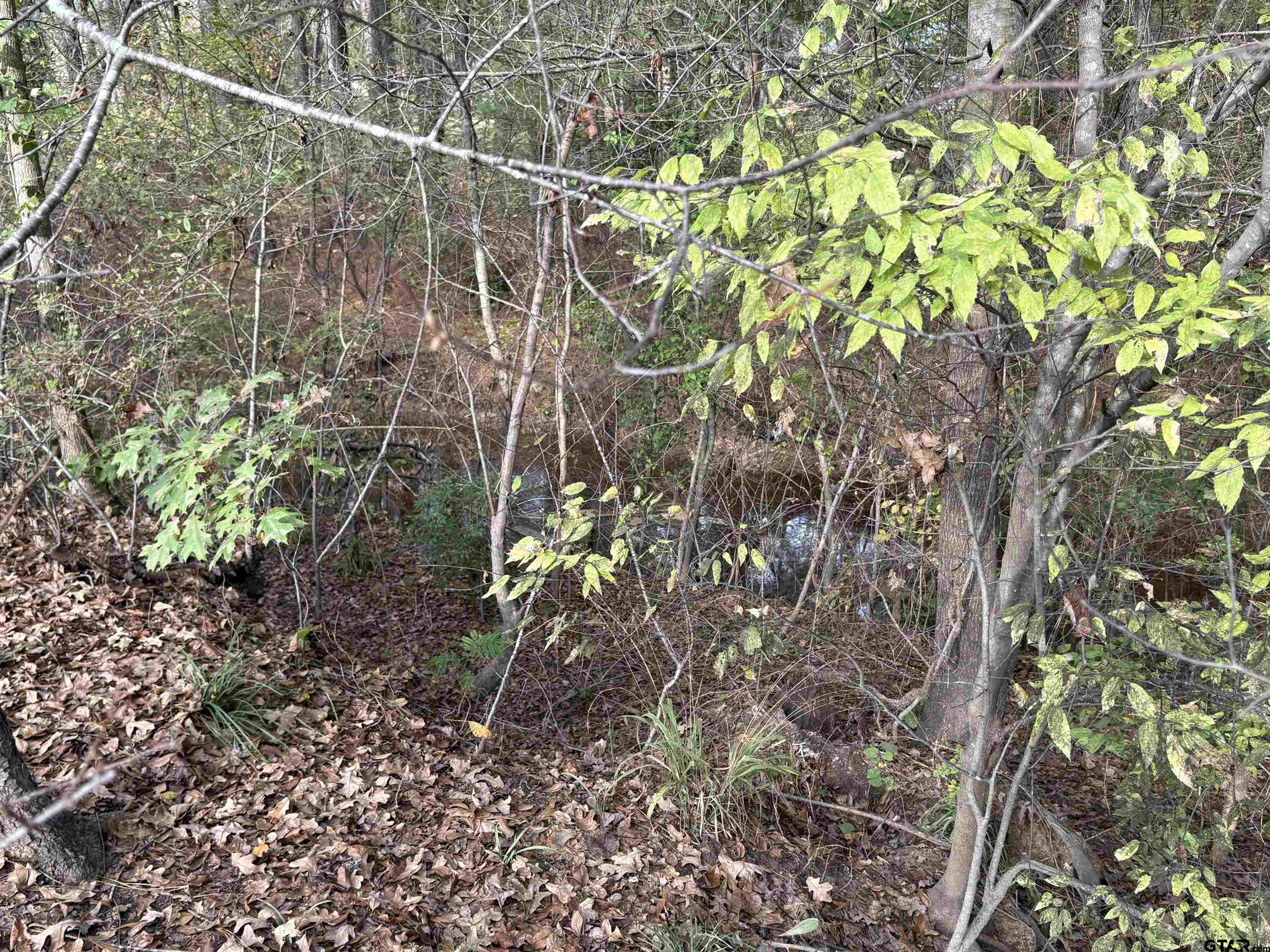 20480 Clearwater Circle