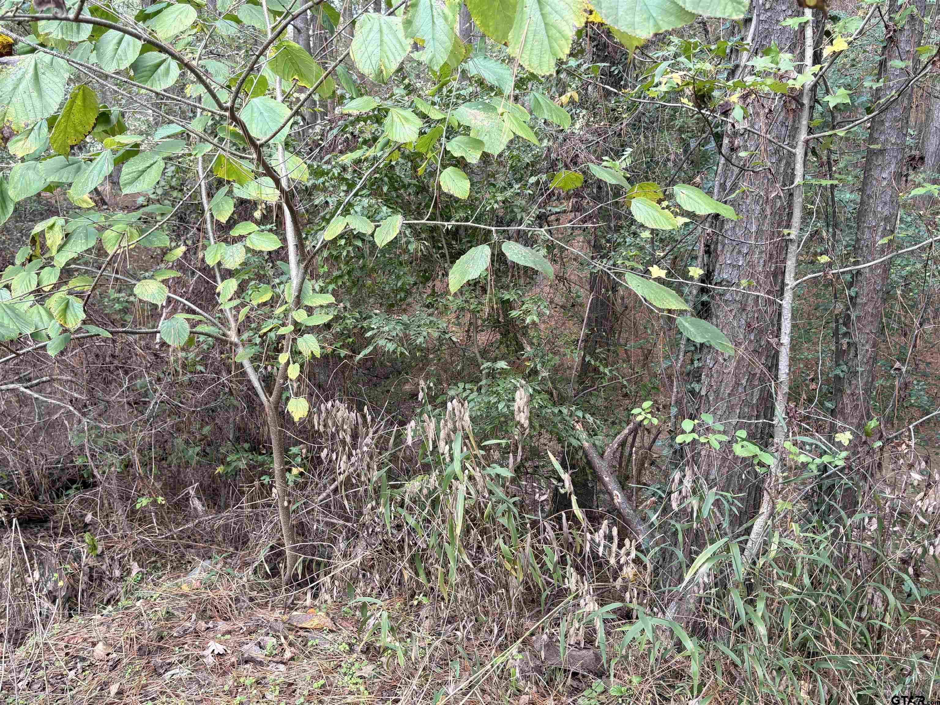 20480 Clearwater Circle