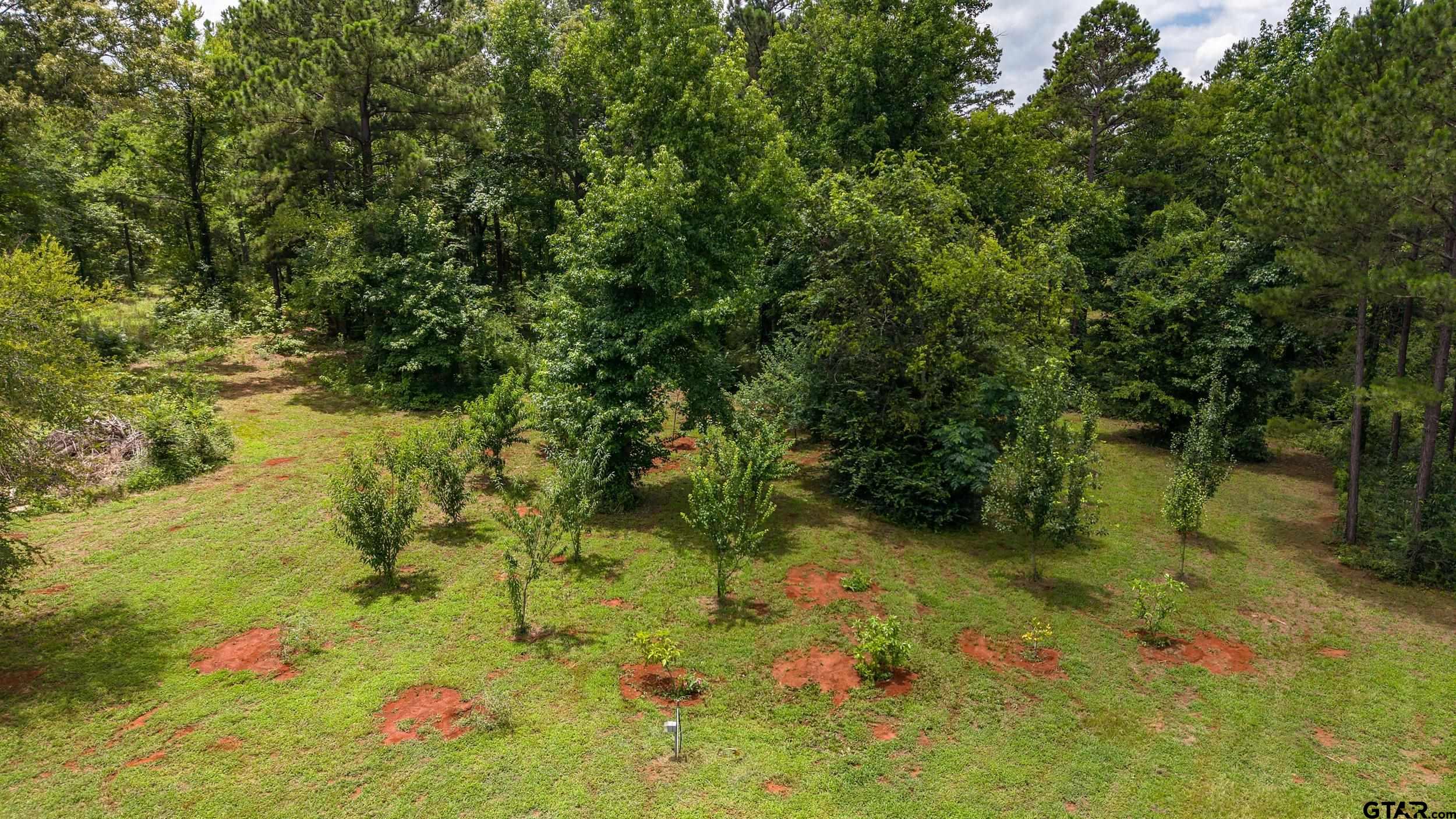 1100 County Road 3602