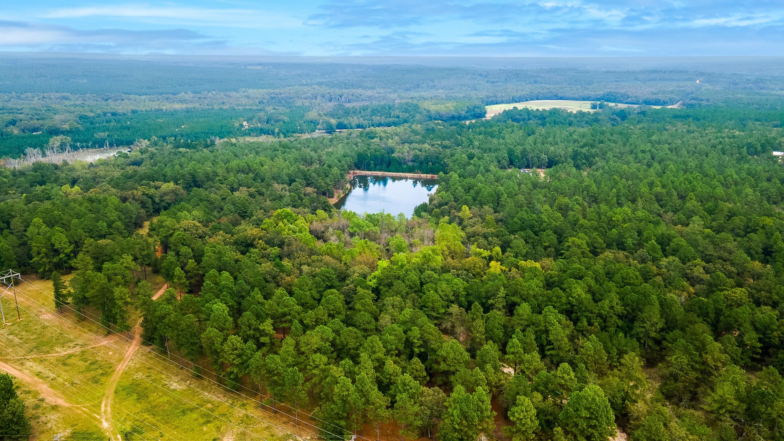 411 Snipes Pond Road