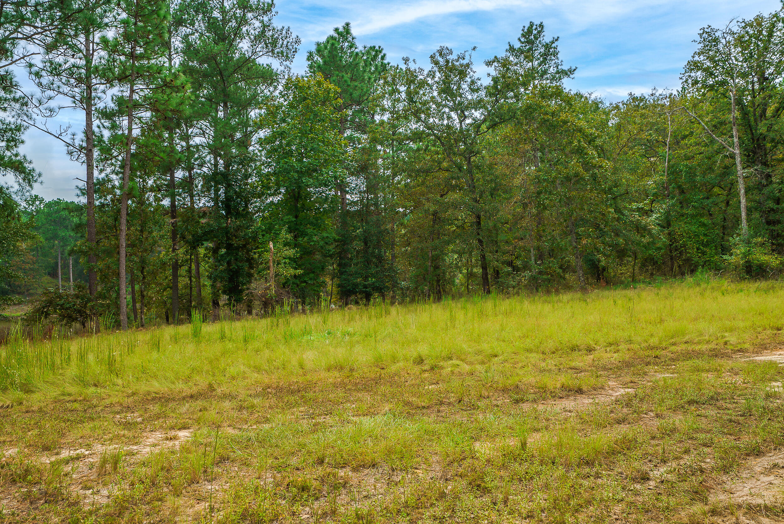 411 Snipes Pond Road