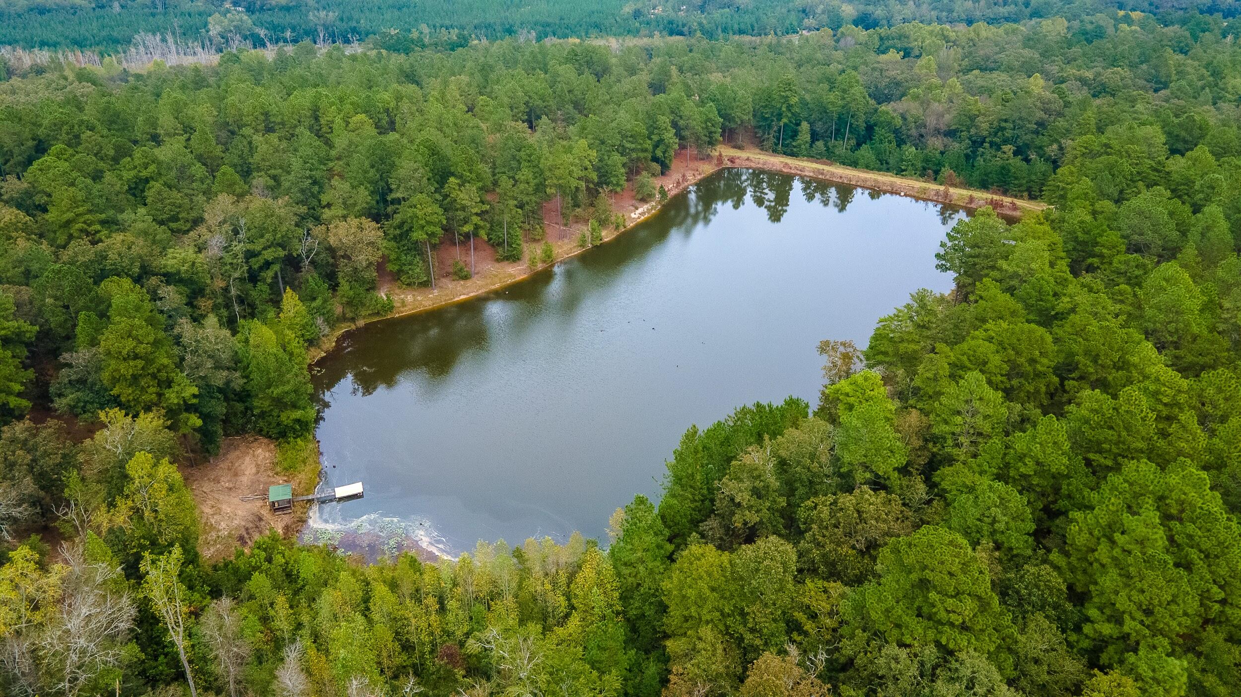 411 Snipes Pond Road