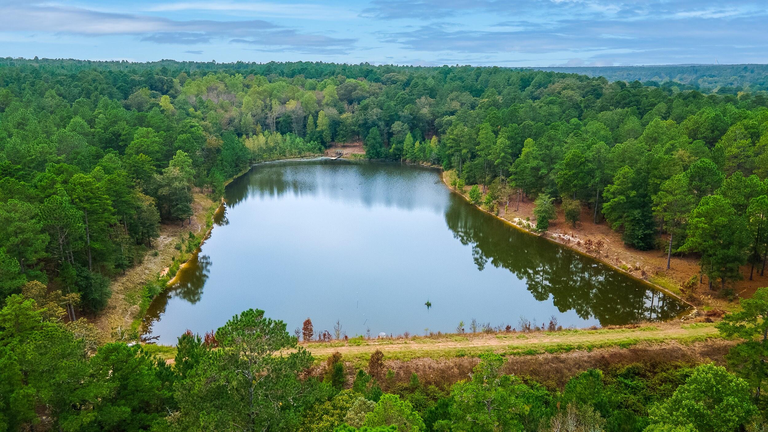 411 Snipes Pond Road