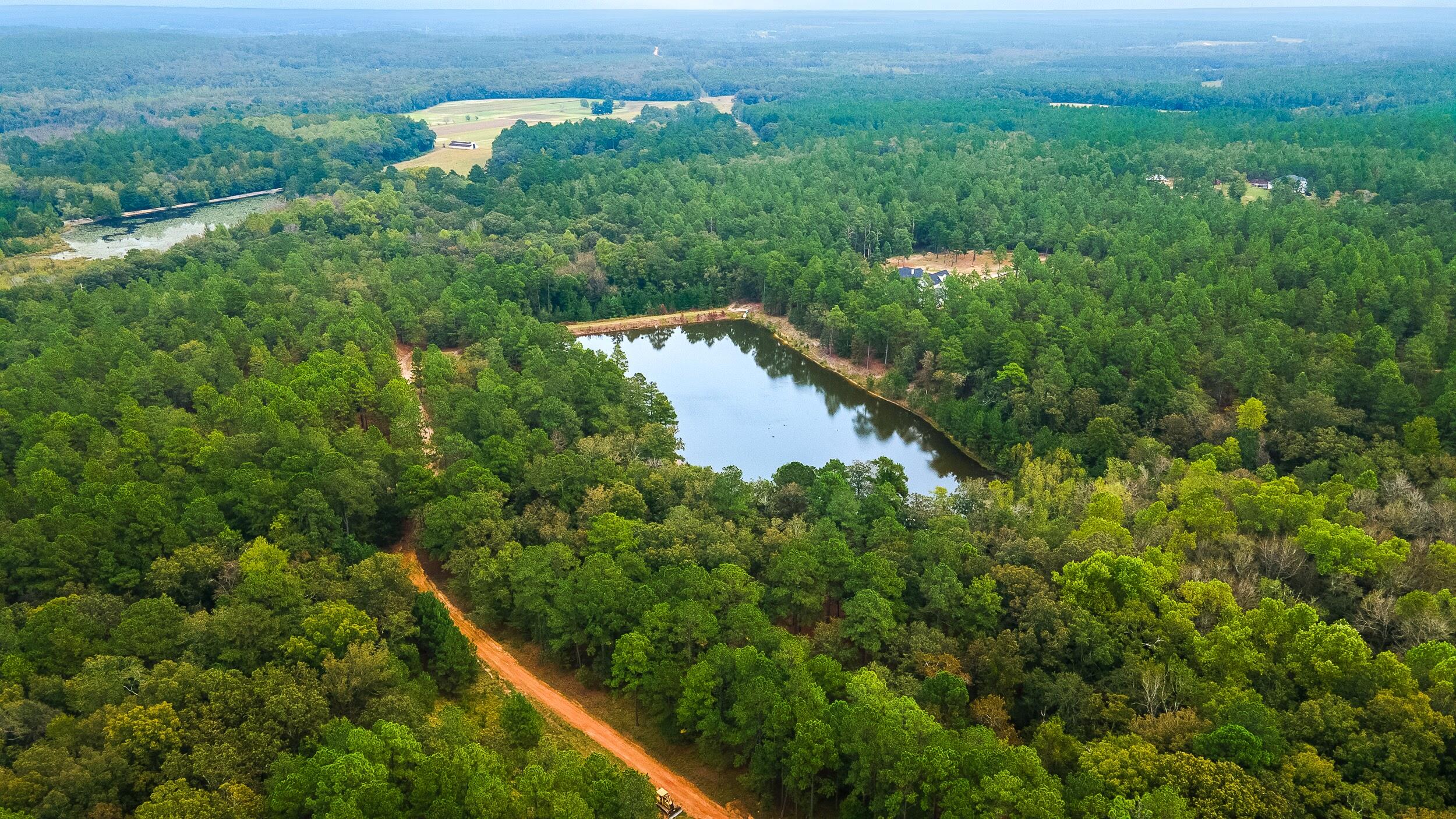 411 Snipes Pond Road