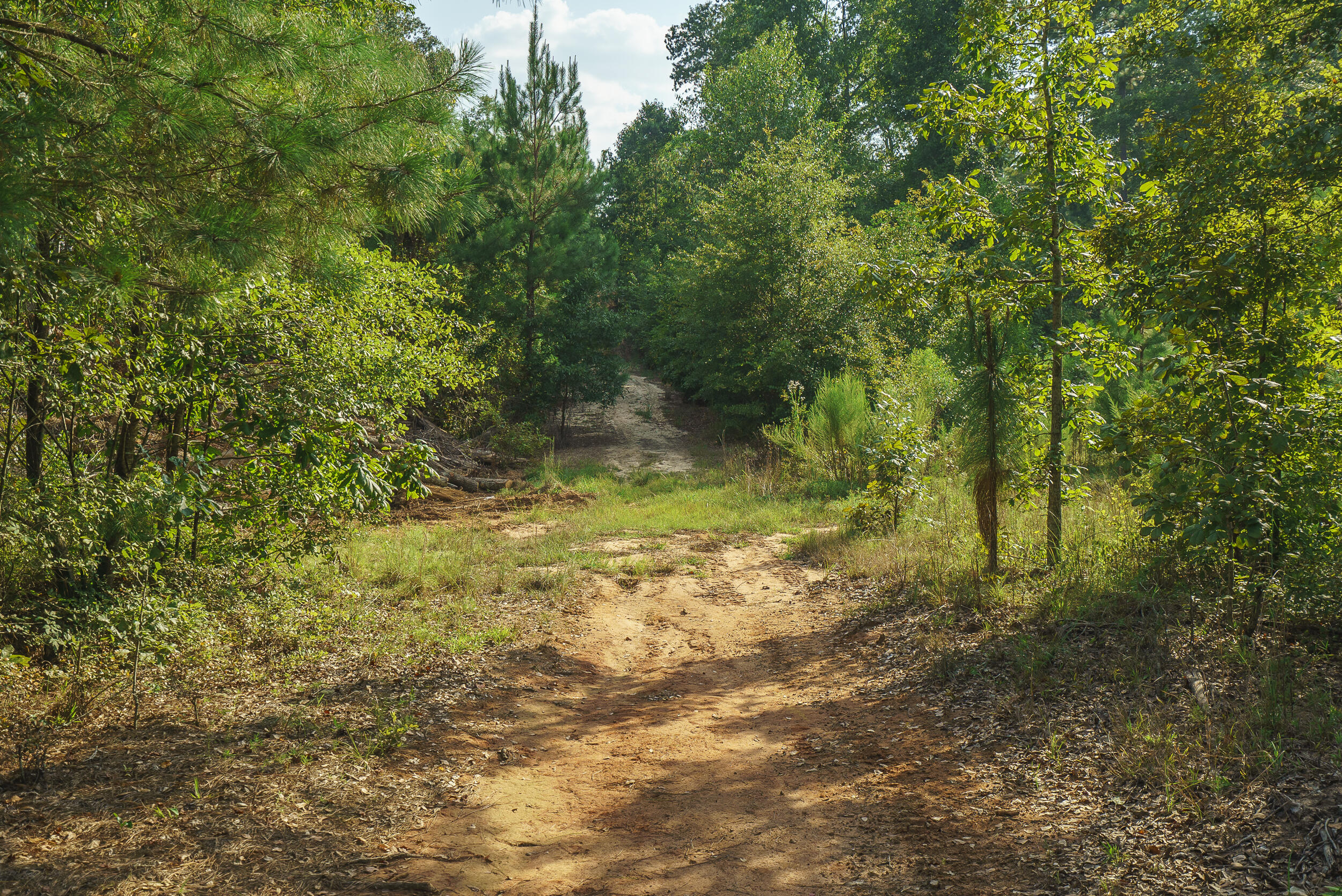 Lot-9 Barrington Farms Drive