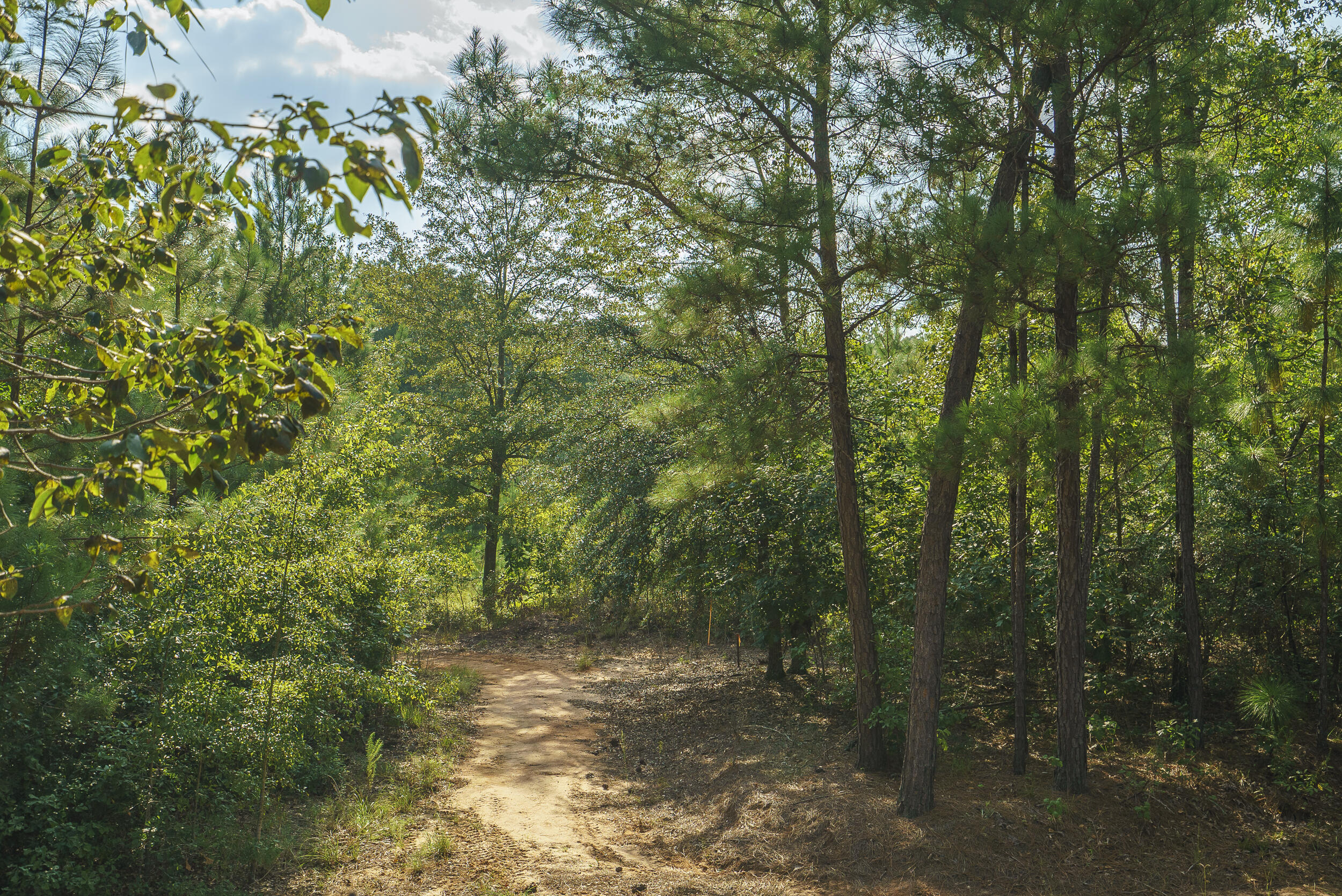 Lot-9 Barrington Farms Drive