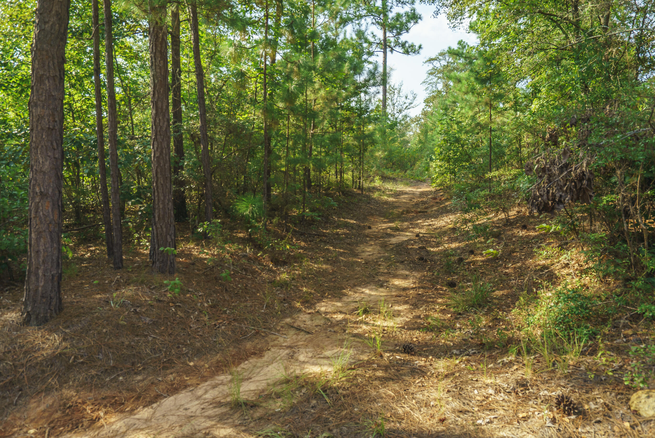 Lot-9 Barrington Farms Drive