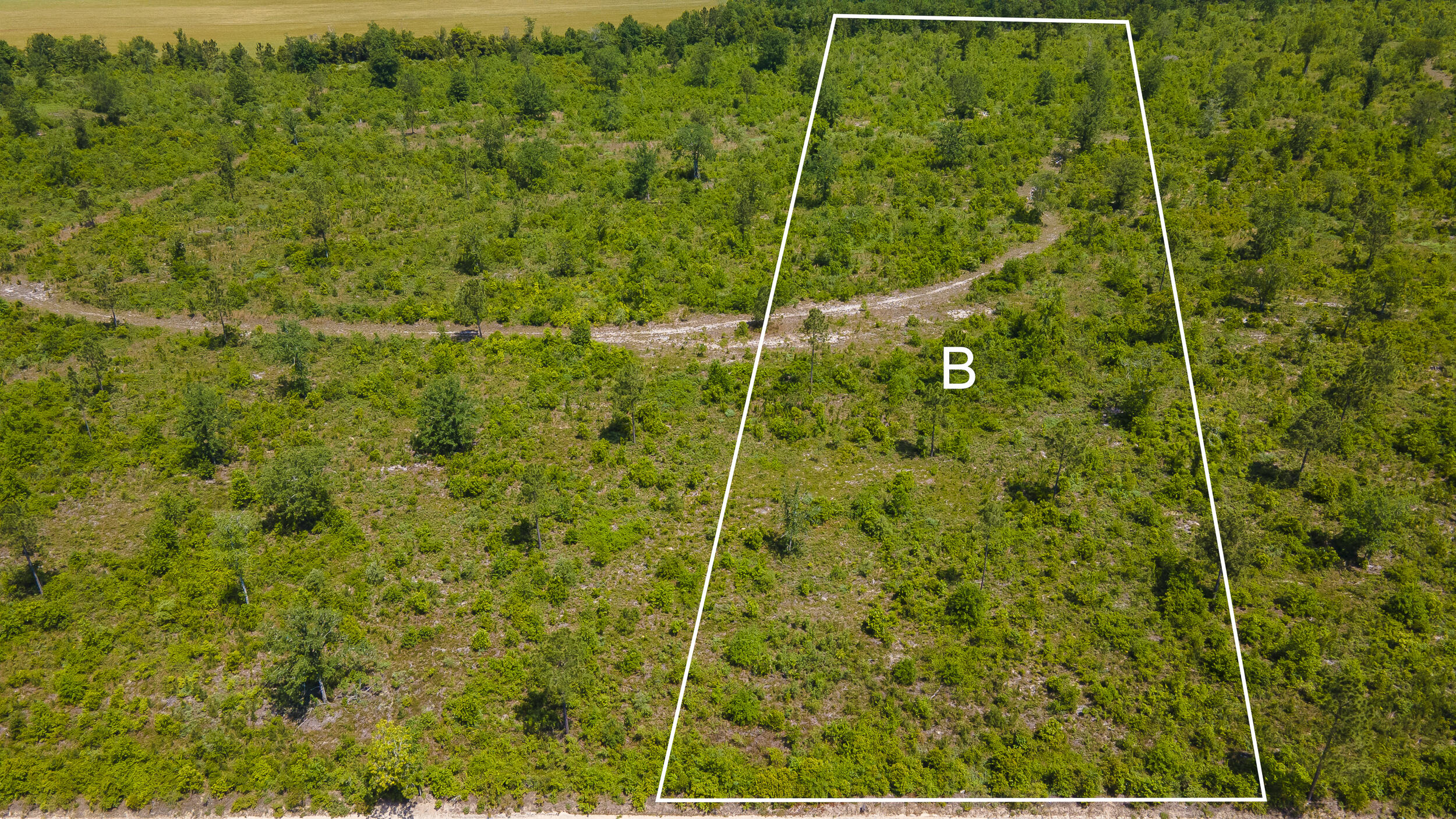 Lot B Old Shoals Road