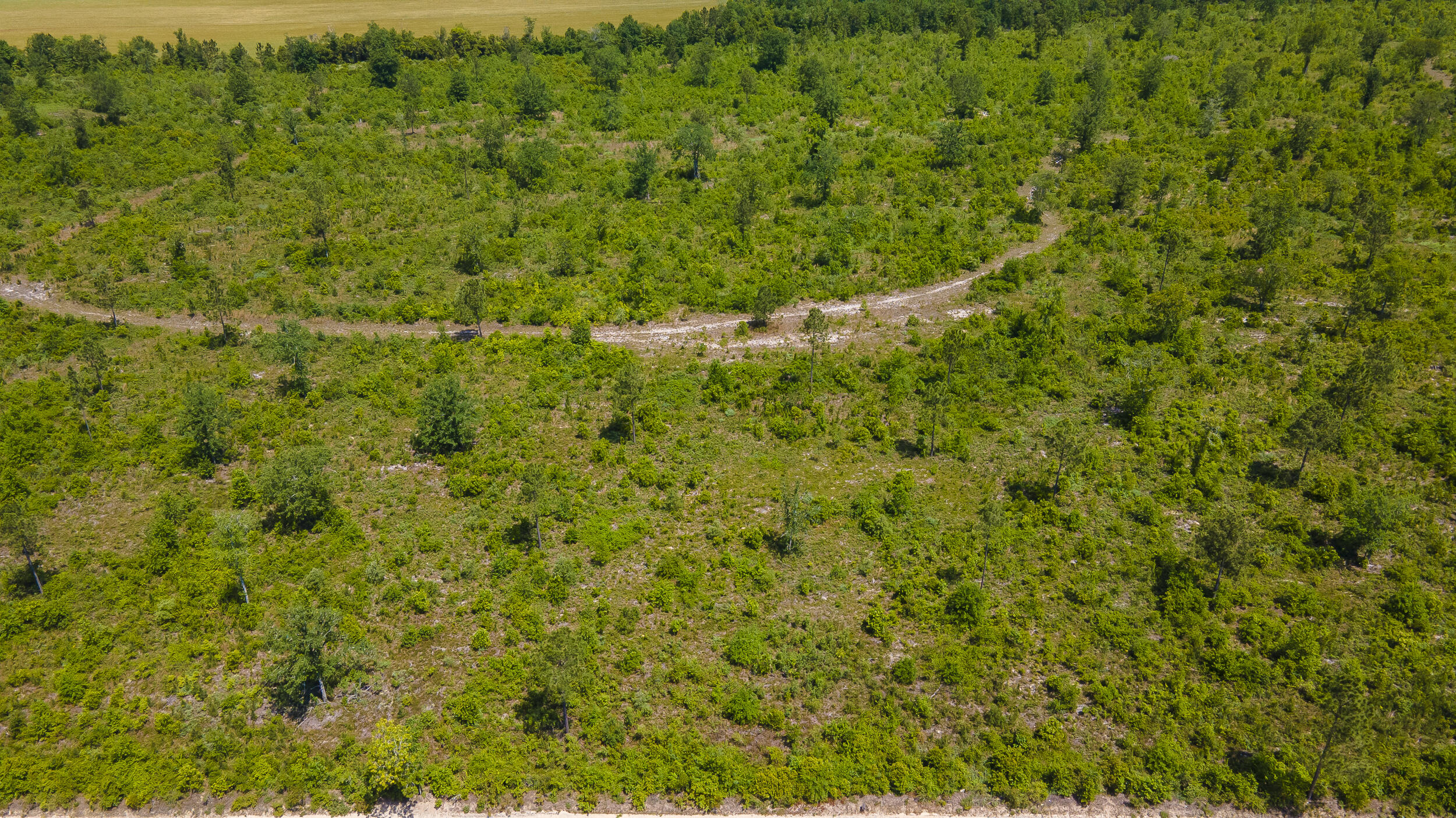 Lot B Old Shoals Road