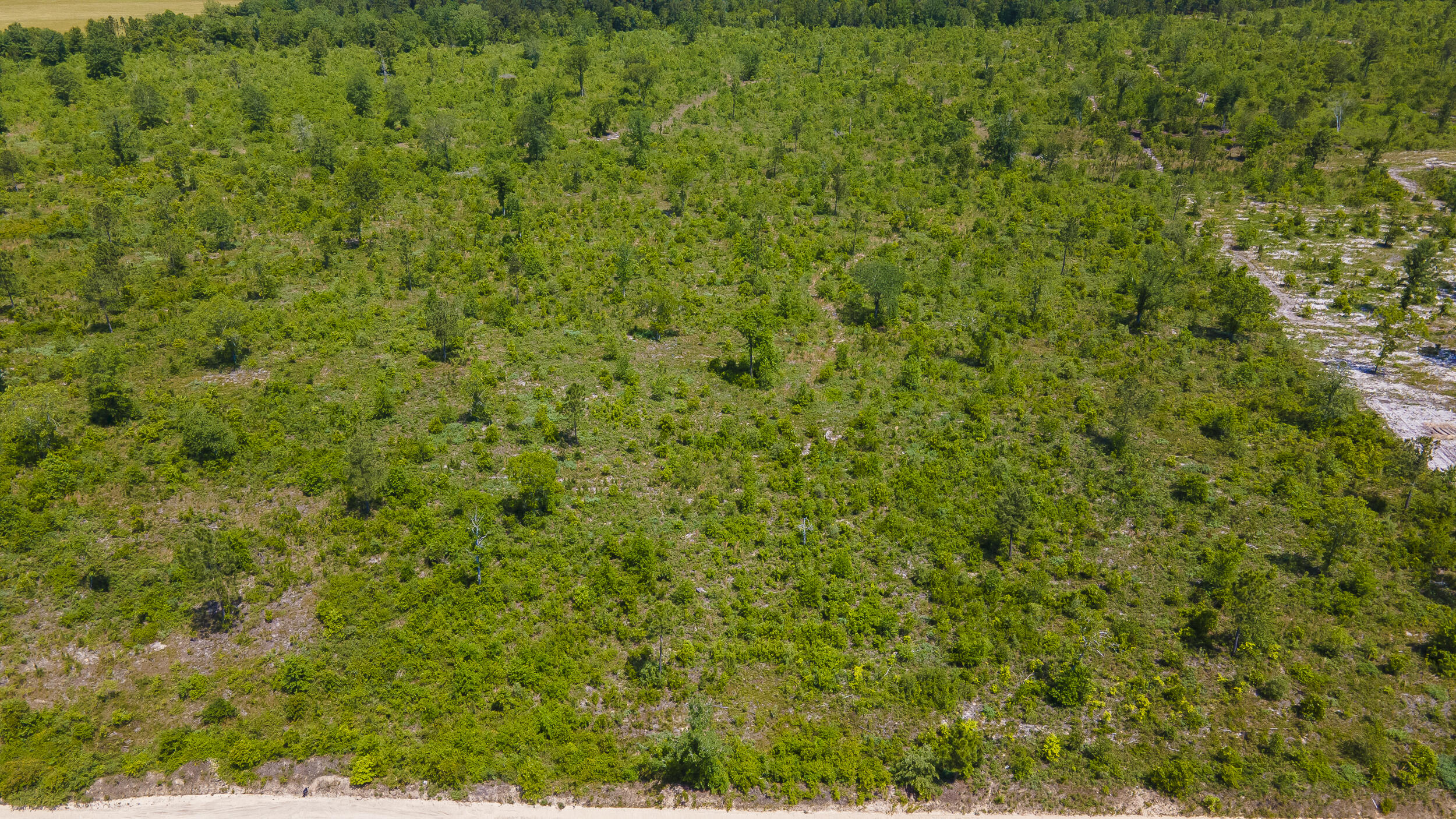 Lot D Old Shoals Road