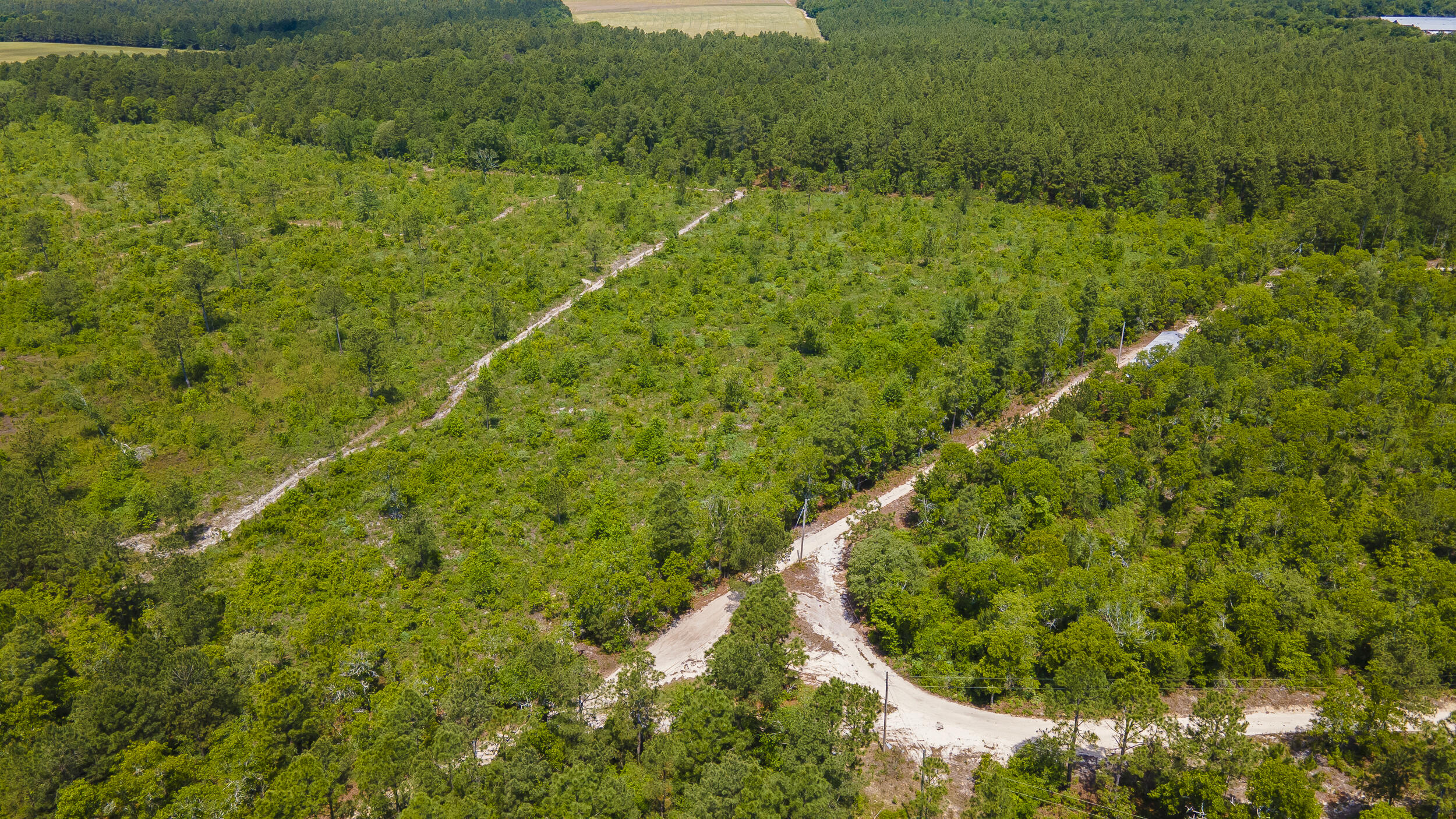 Lot F Old Shoals Road