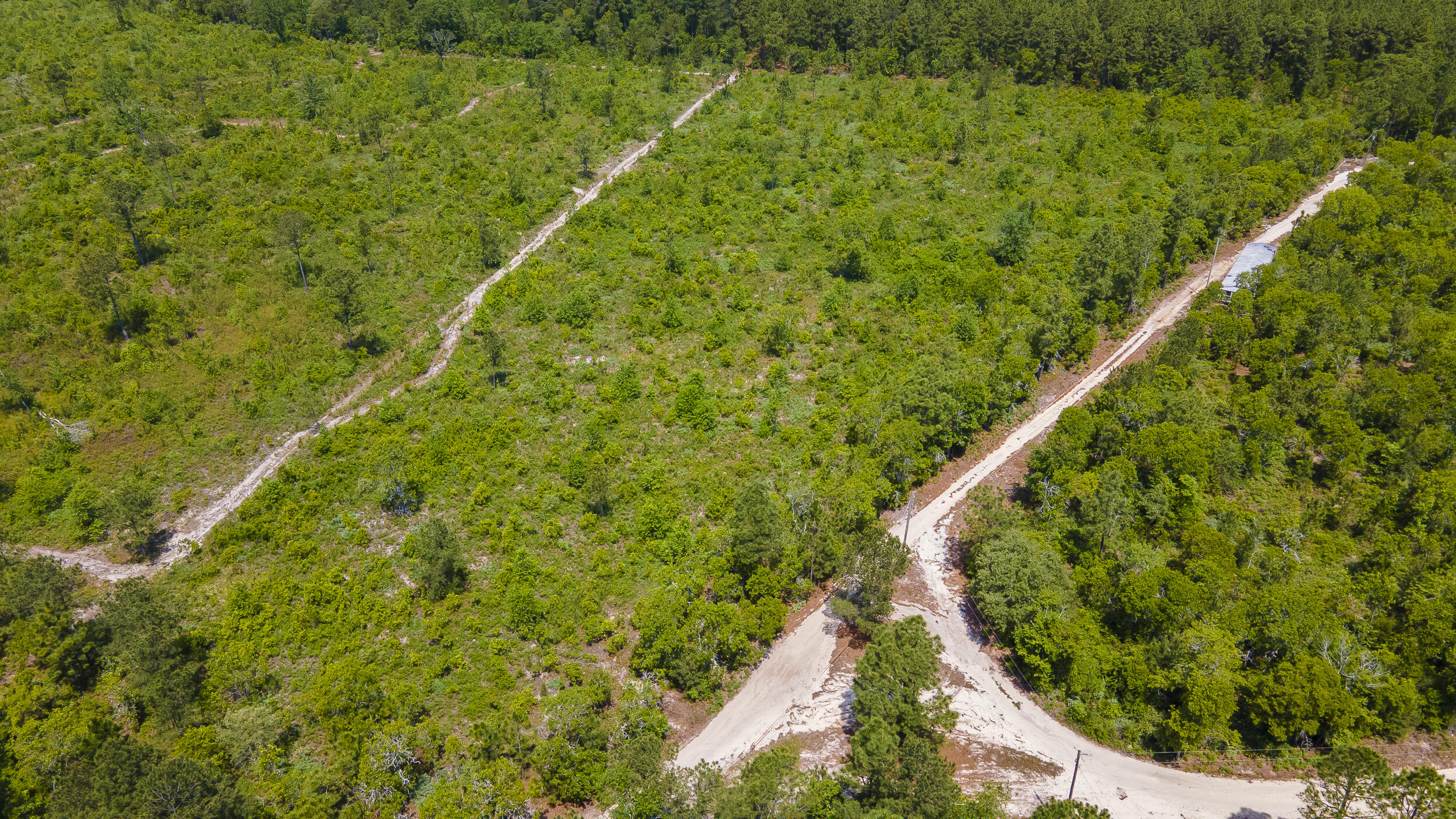 Lot F Old Shoals Road