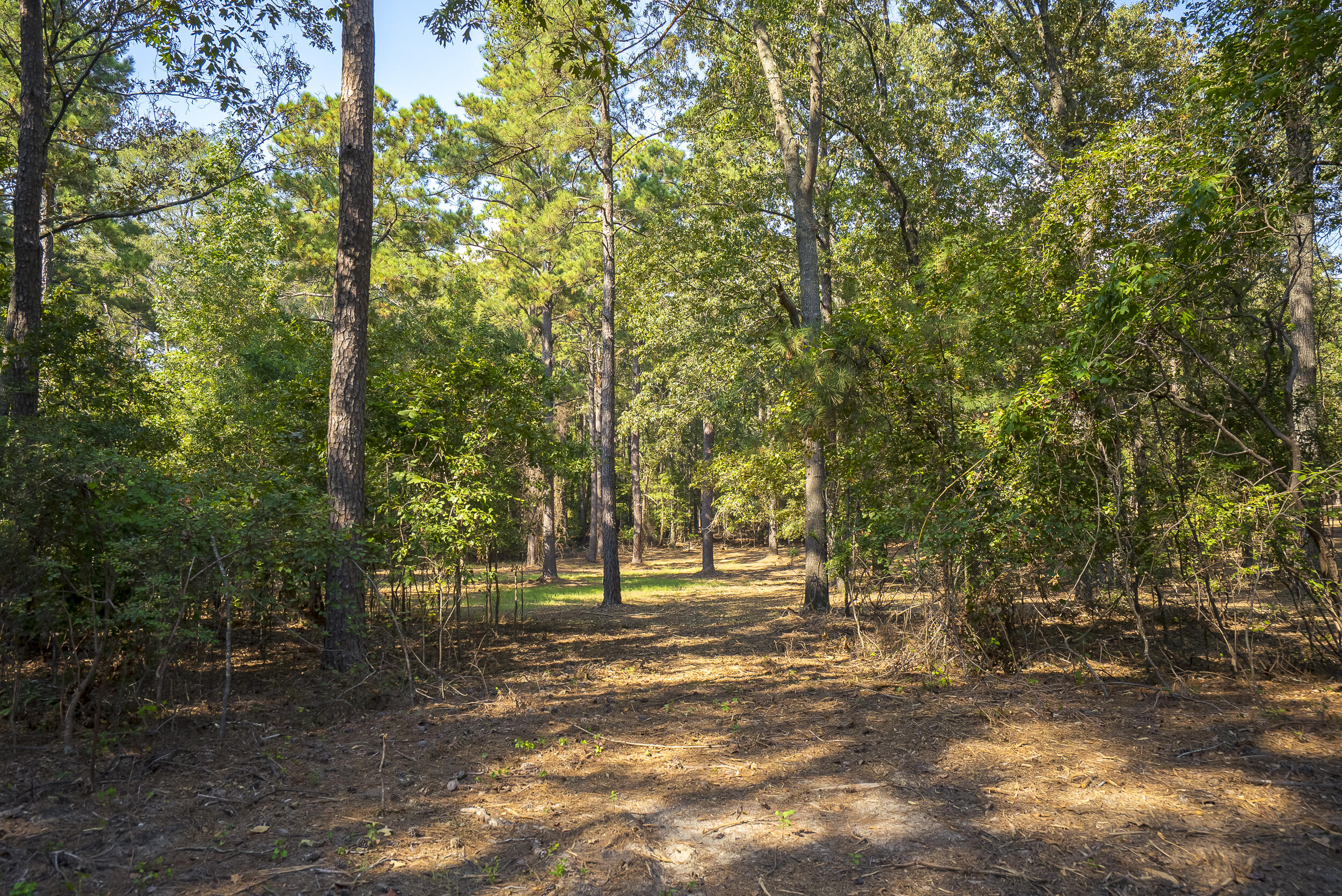 Lot 1,2, 5 Banks Mill Road Road SE