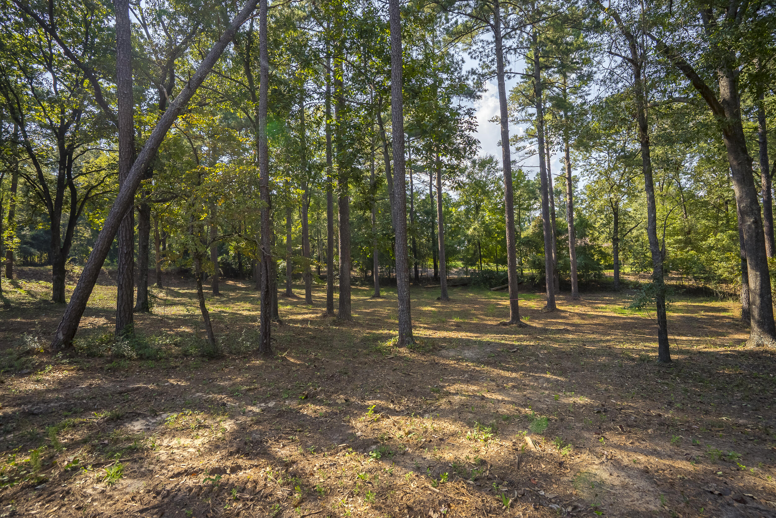 Lot 1,2, 5 Banks Mill Road Road SE