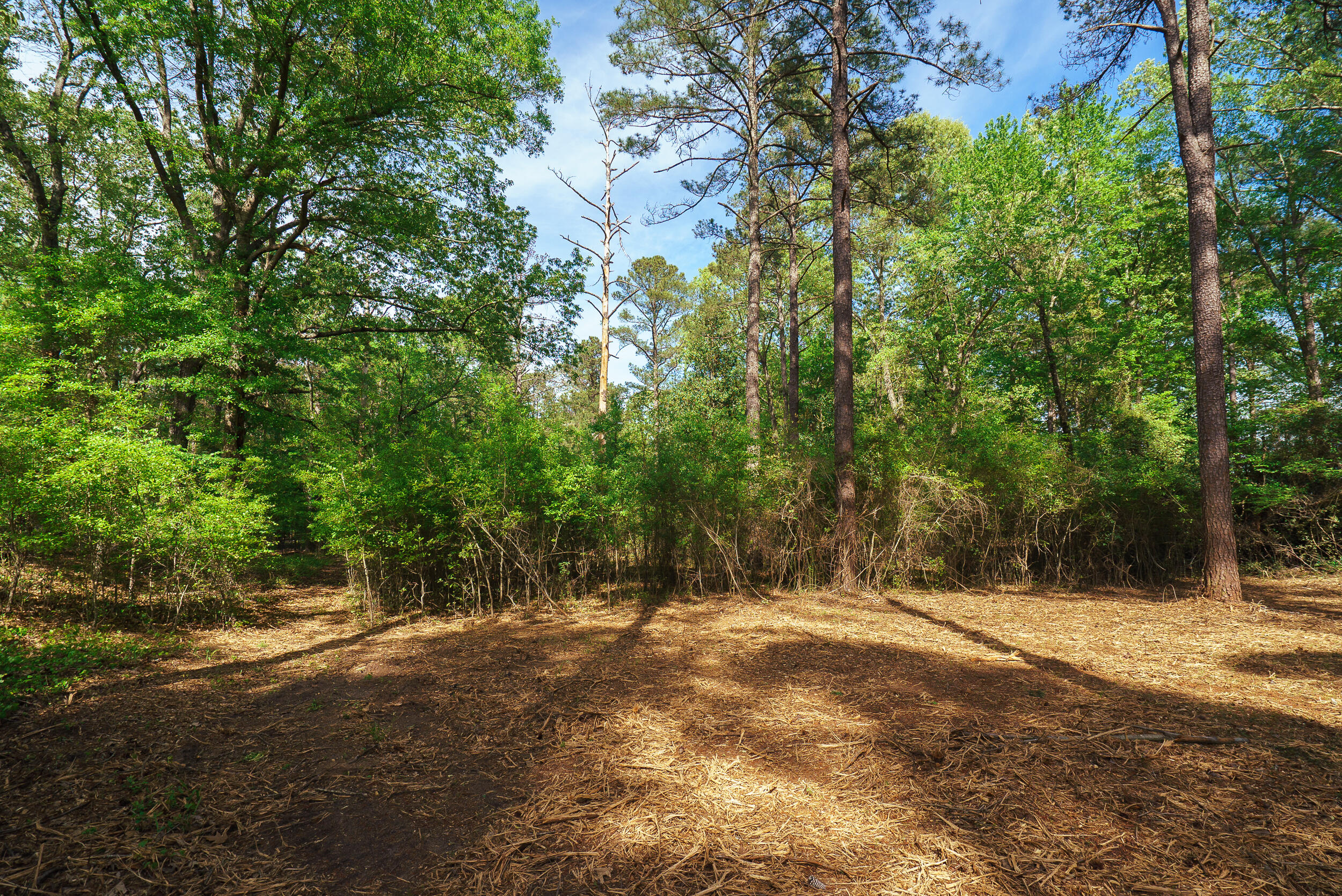 Lot 1,2, 5 Banks Mill Road Road SE