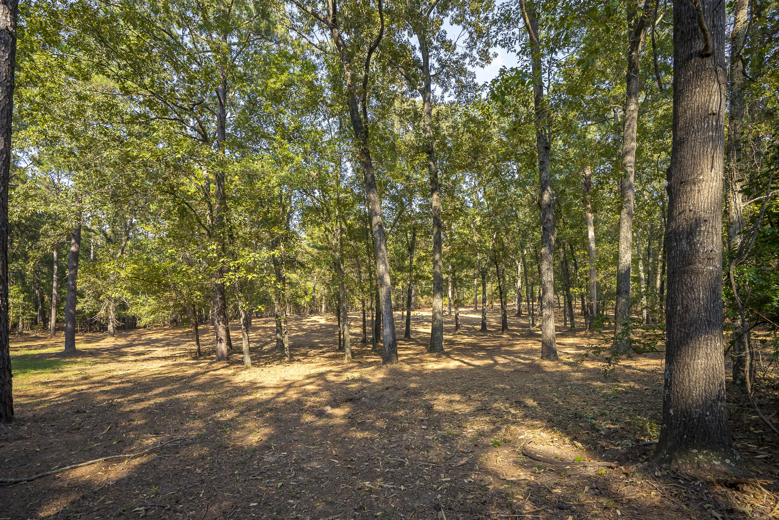 Lot 1,2, 5 Banks Mill Road Road SE