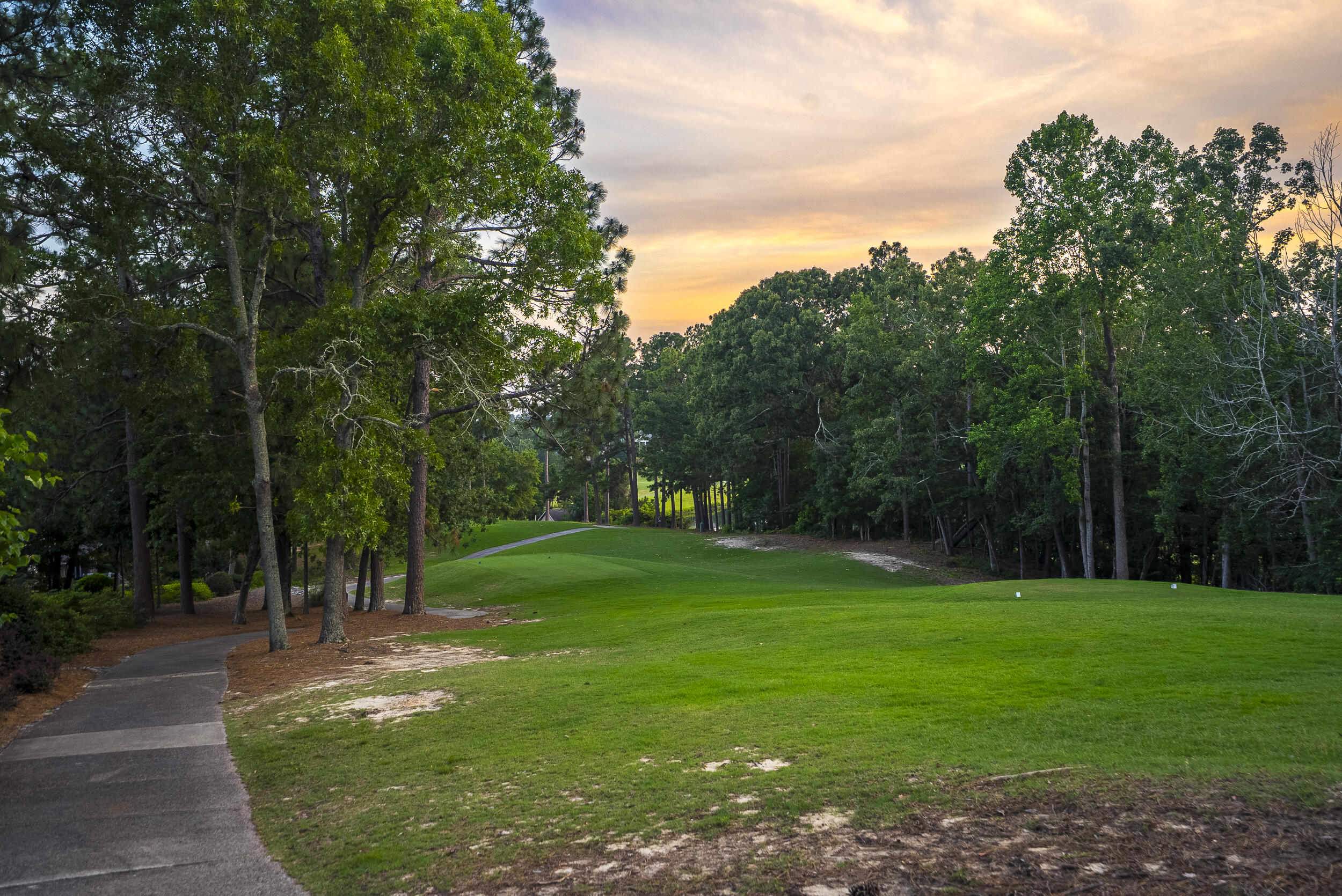 375 Forest Pines Road