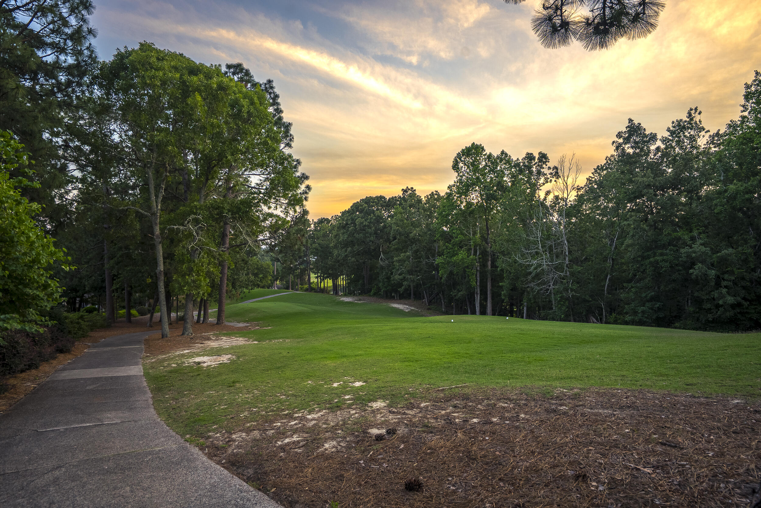 375 Forest Pines Road
