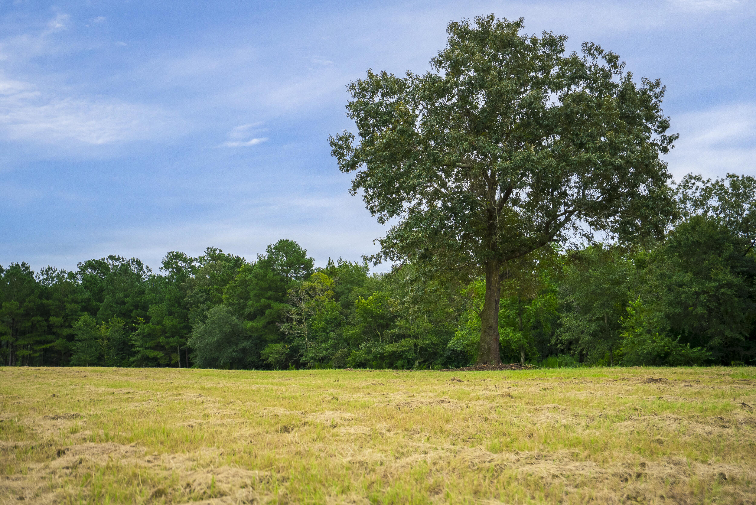 0000 Cedar Creek Road