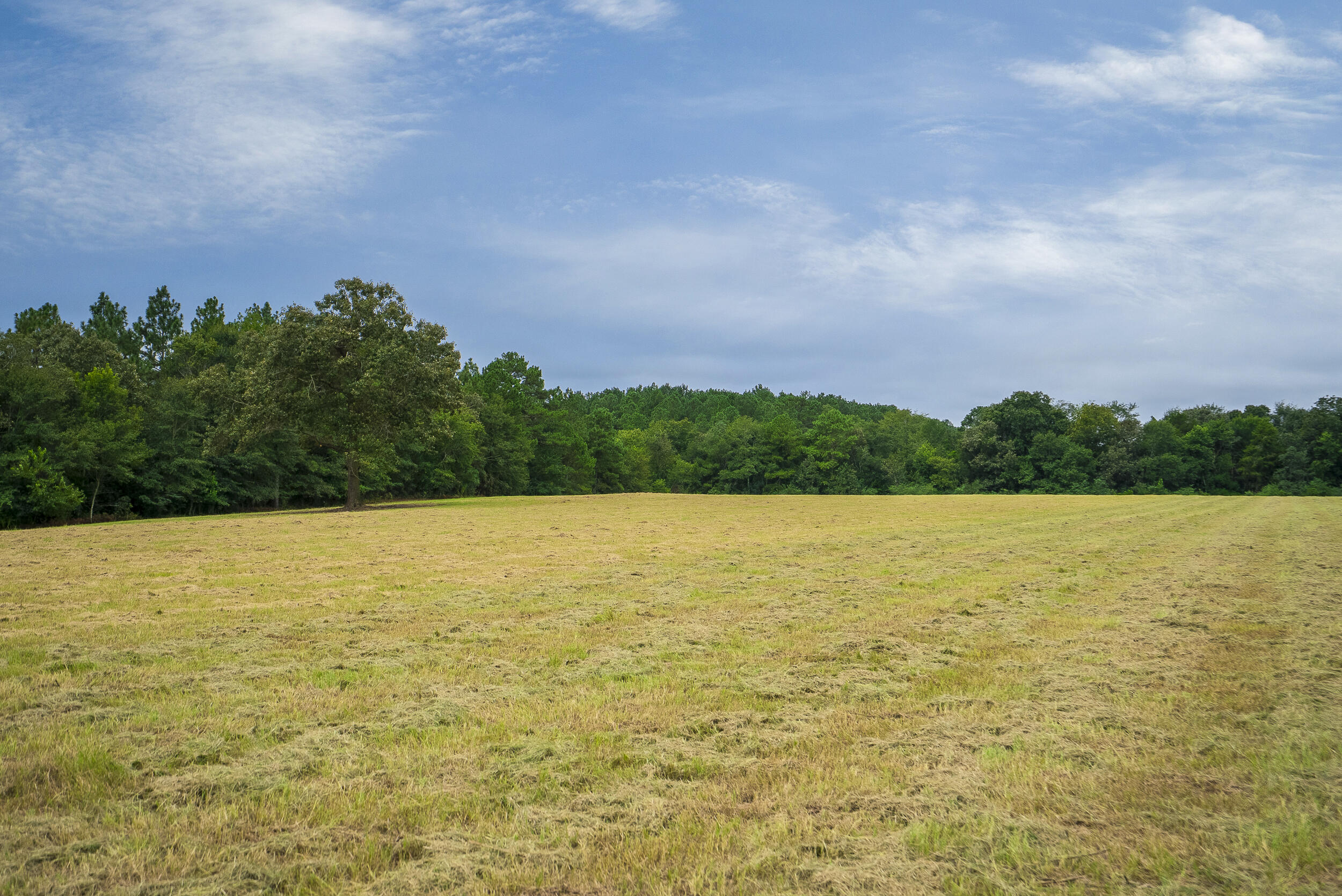 0000 Cedar Creek Road