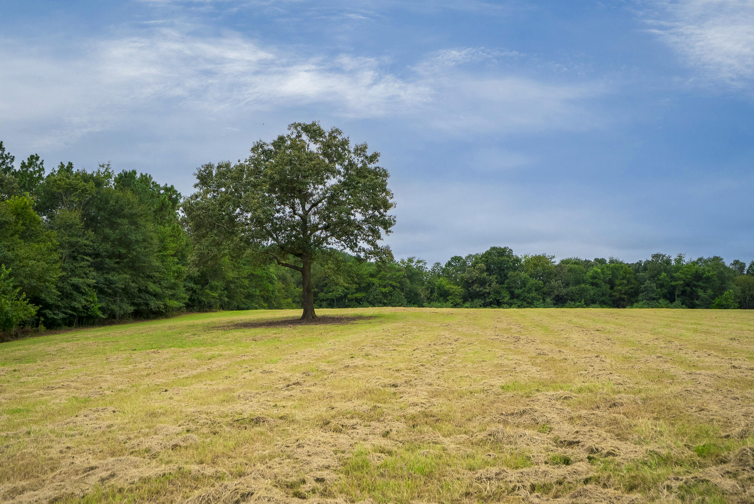 0000 Cedar Creek Road