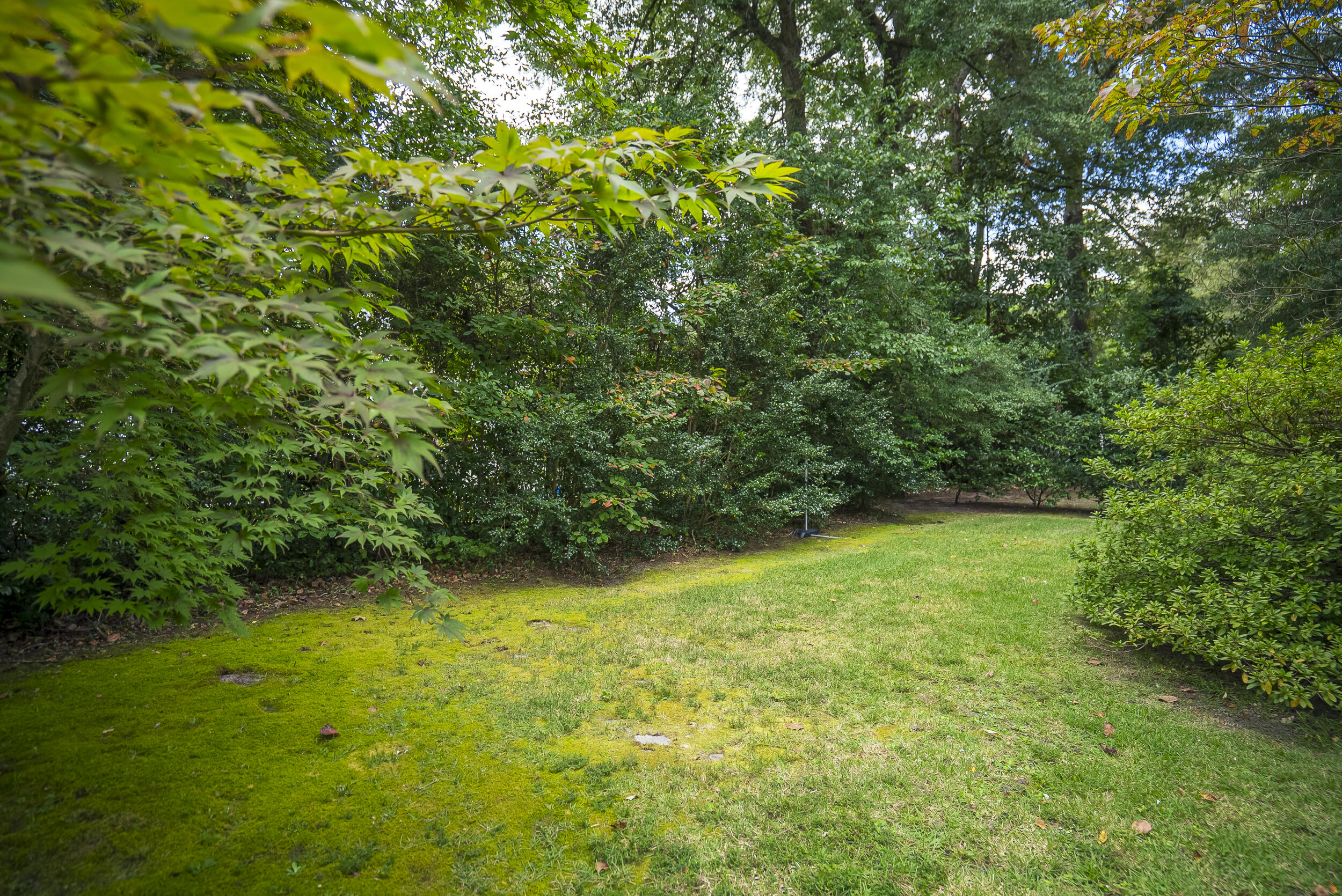 199 Hickory Road