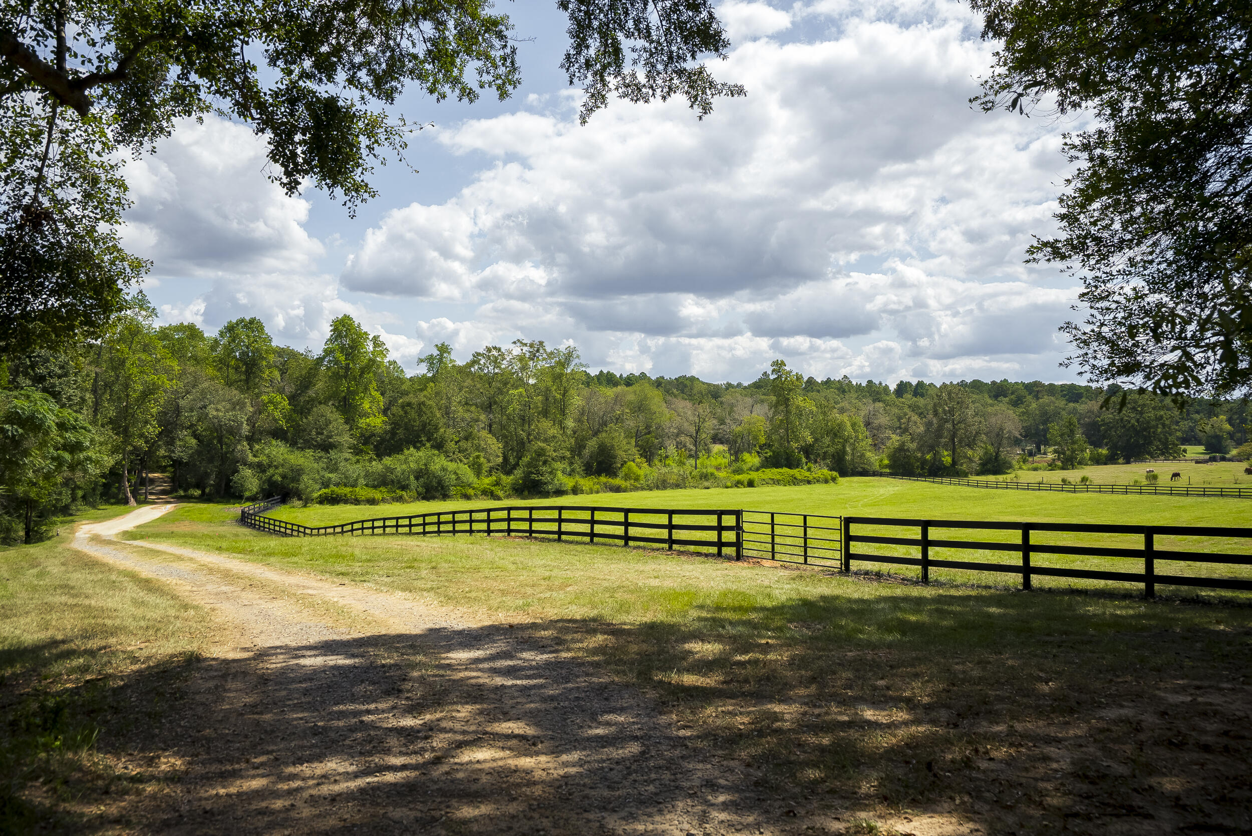 1165 Estancia Lane, Wagener