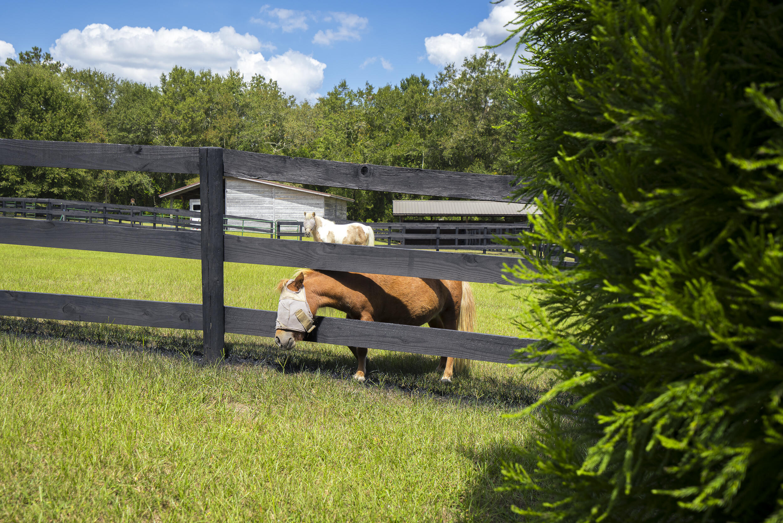 1165 Estancia Lane, Wagener