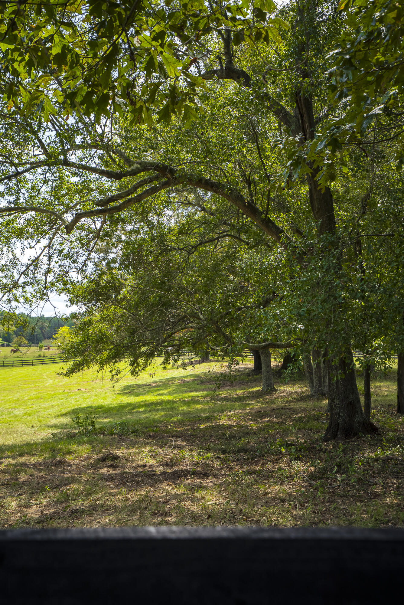 1165 Estancia Lane, Wagener