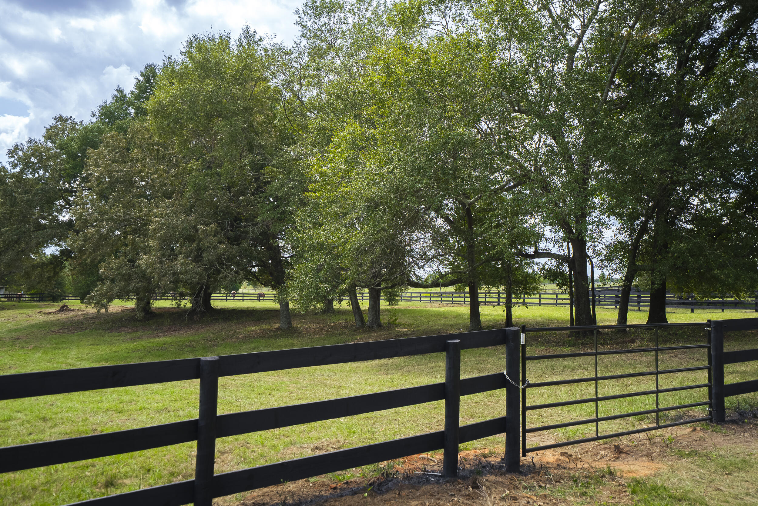 1165 Estancia Lane, Wagener