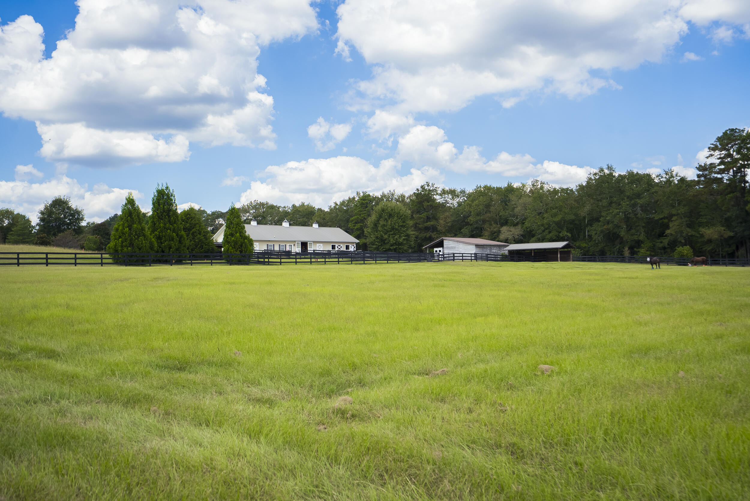 1165 Estancia Lane, Wagener