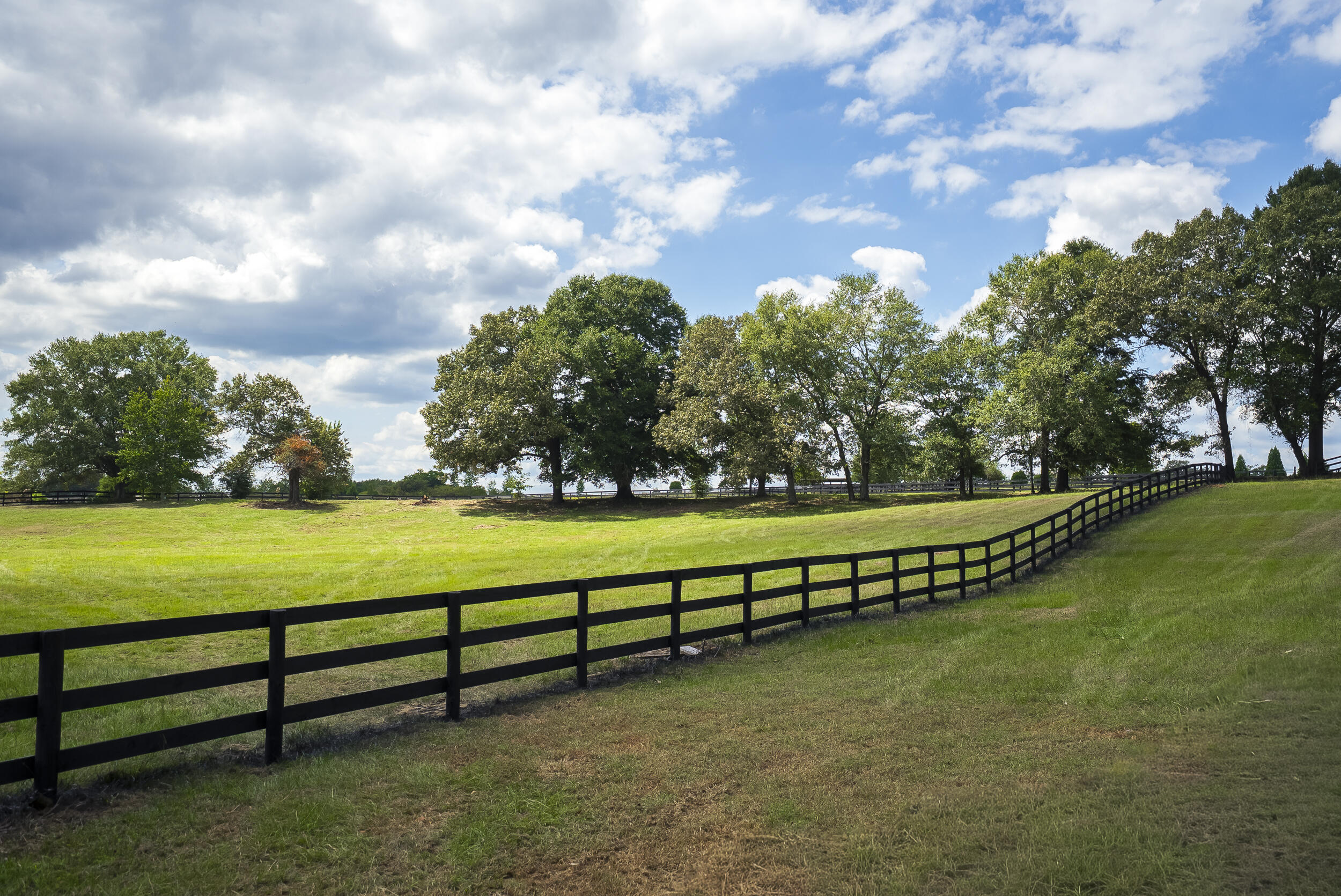 1165 Estancia Lane, Wagener