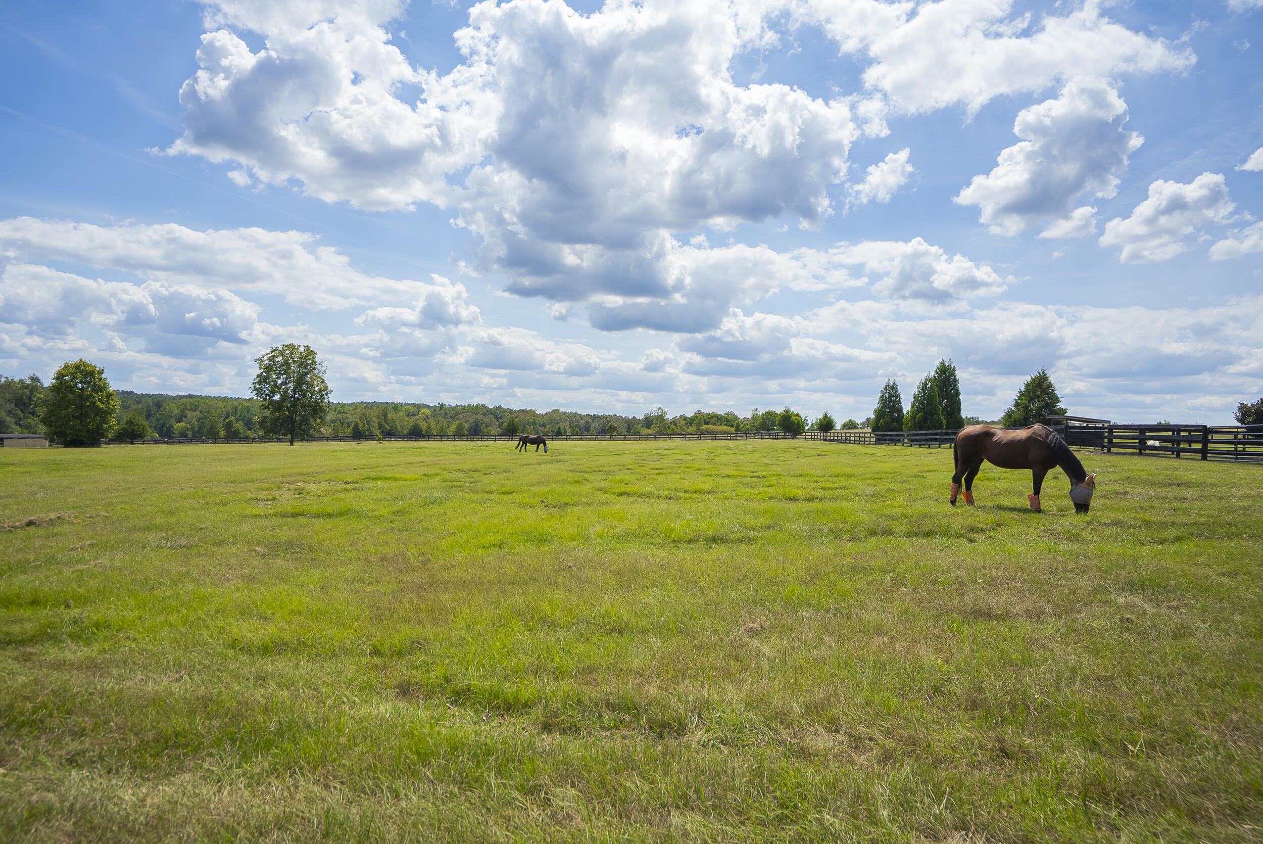 1165 Estancia Lane, Wagener