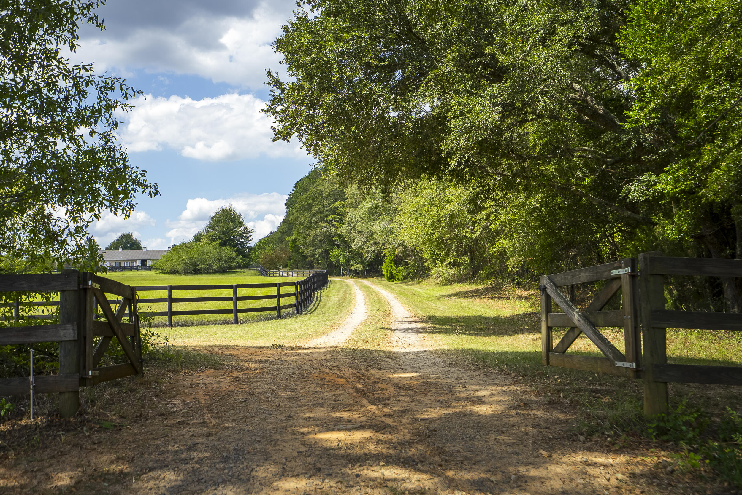 1165 Estancia Lane, Wagener