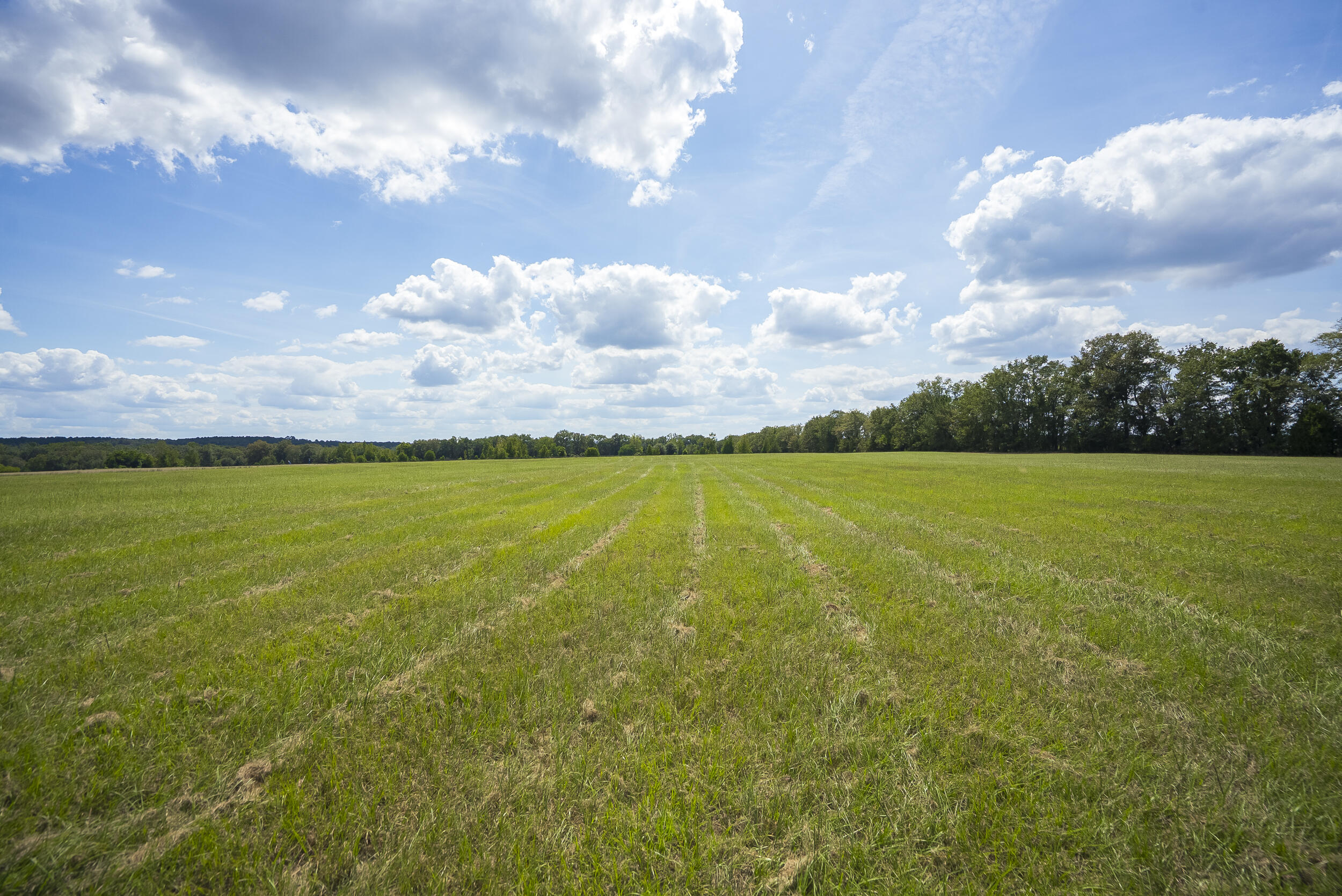 1165 Estancia Lane, Wagener