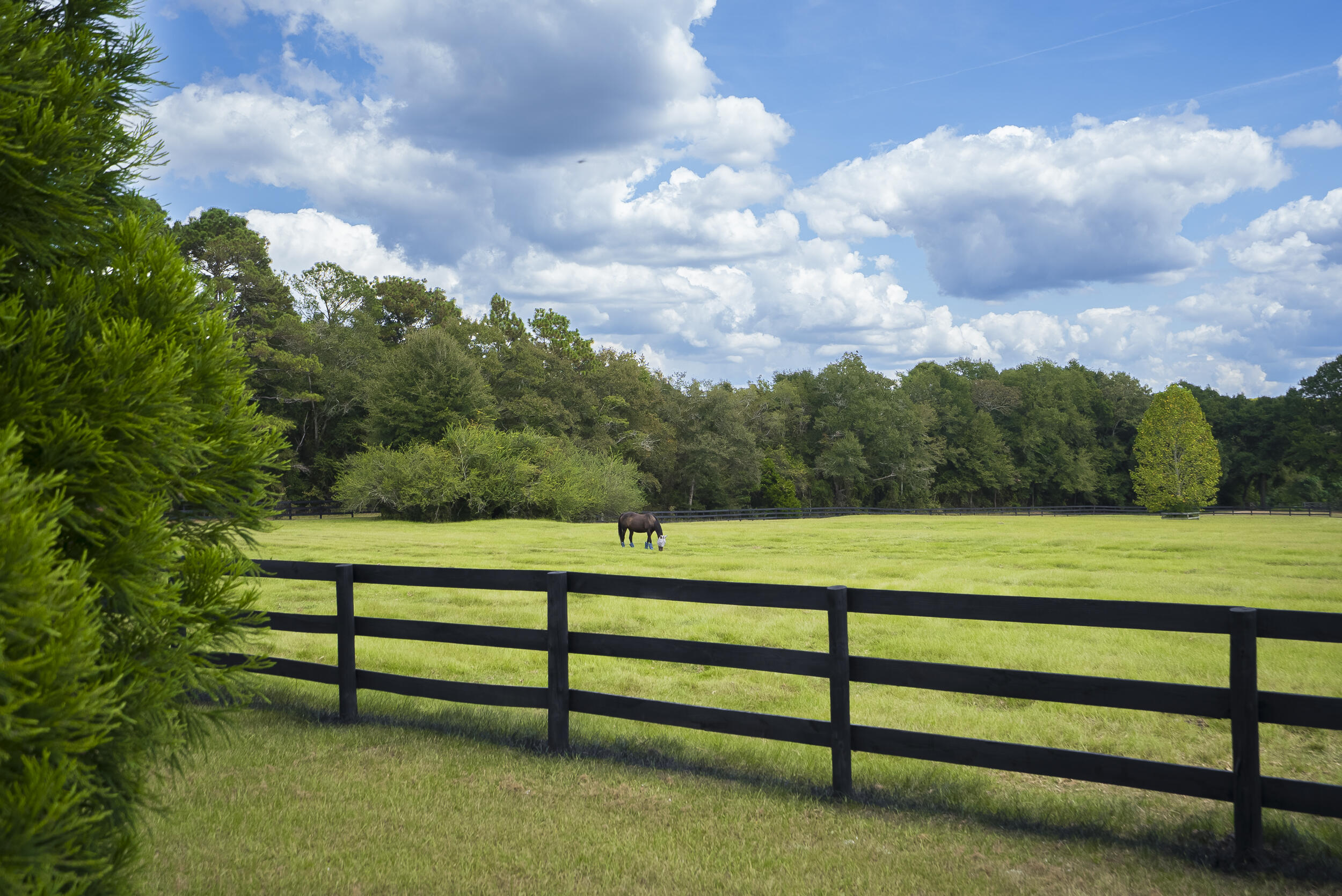 1165 Estancia Lane, Wagener