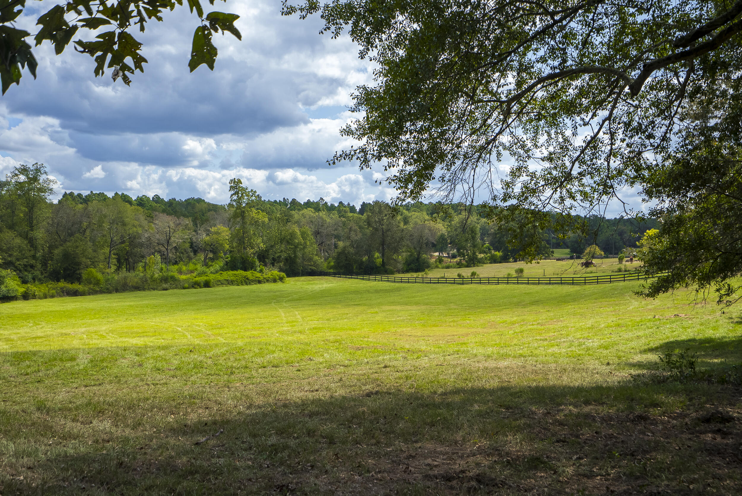 1165 Estancia Lane, Wagener