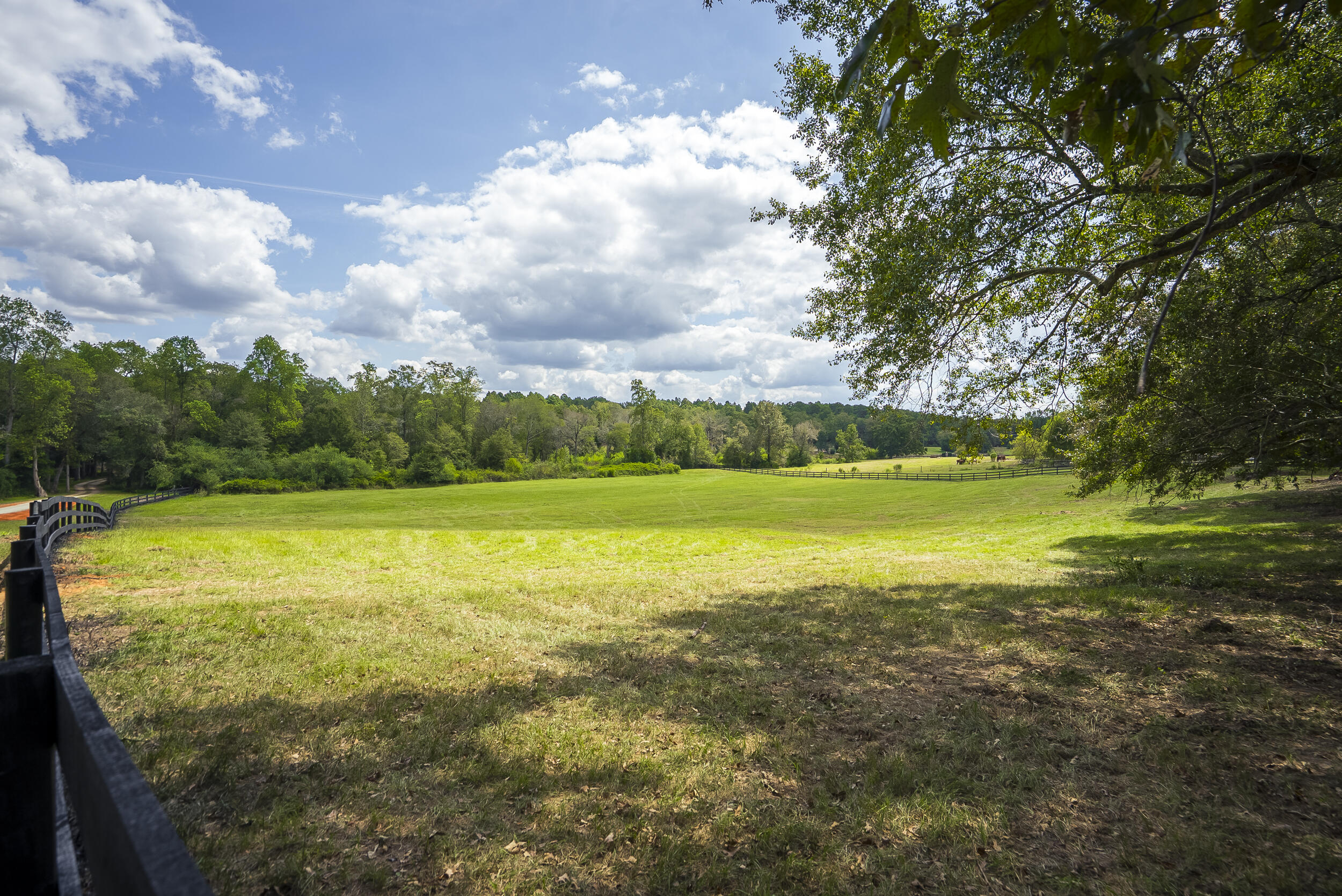 1165 Estancia Lane, Wagener