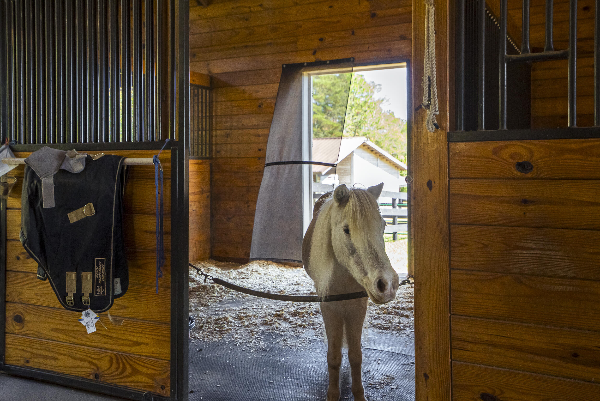 1165 Estancia Lane, Wagener