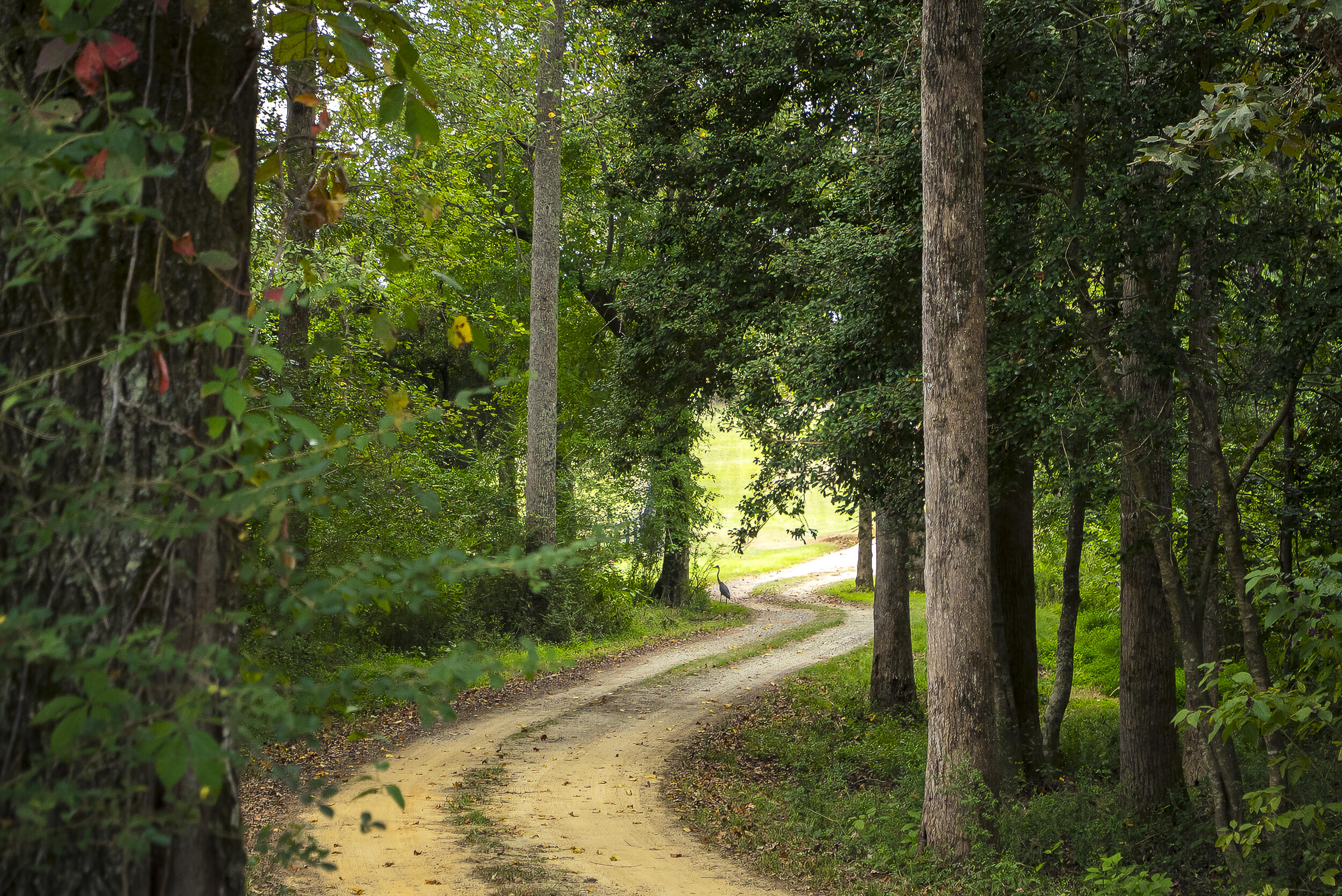 1165 Estancia Lane, Wagener