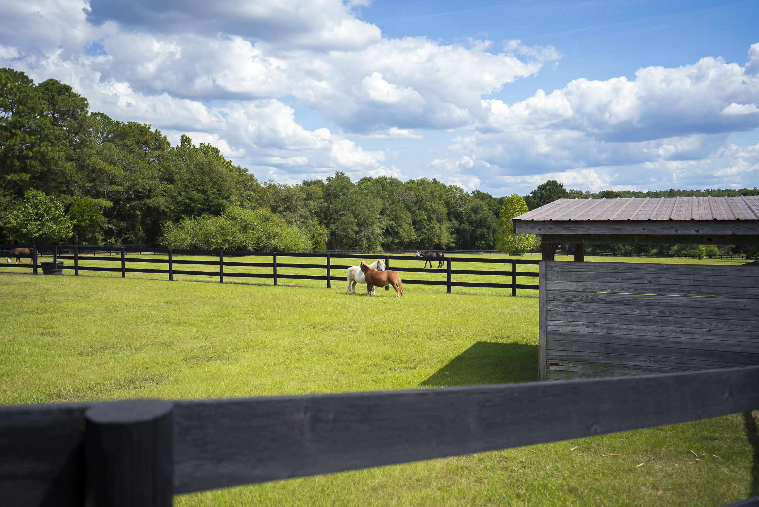 1165 Estancia Lane, Wagener