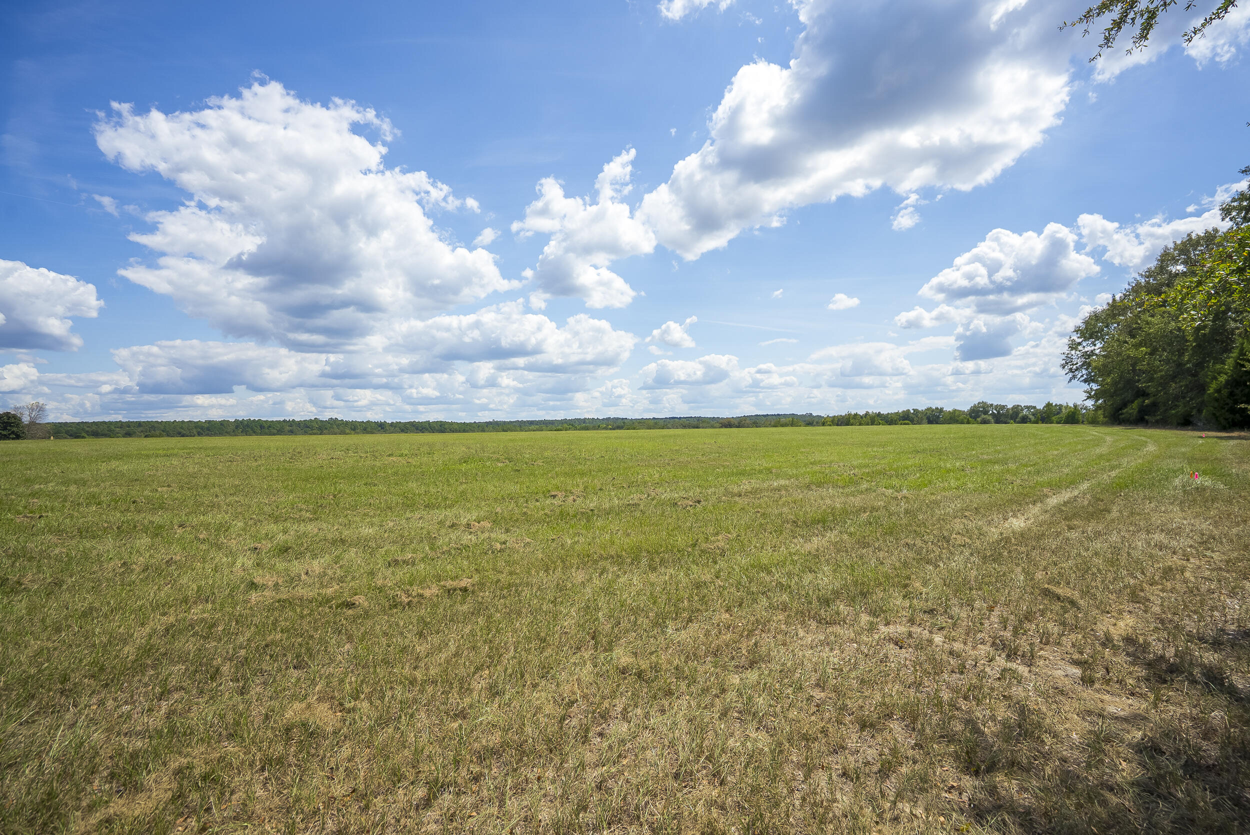 1165 Estancia Lane, Wagener