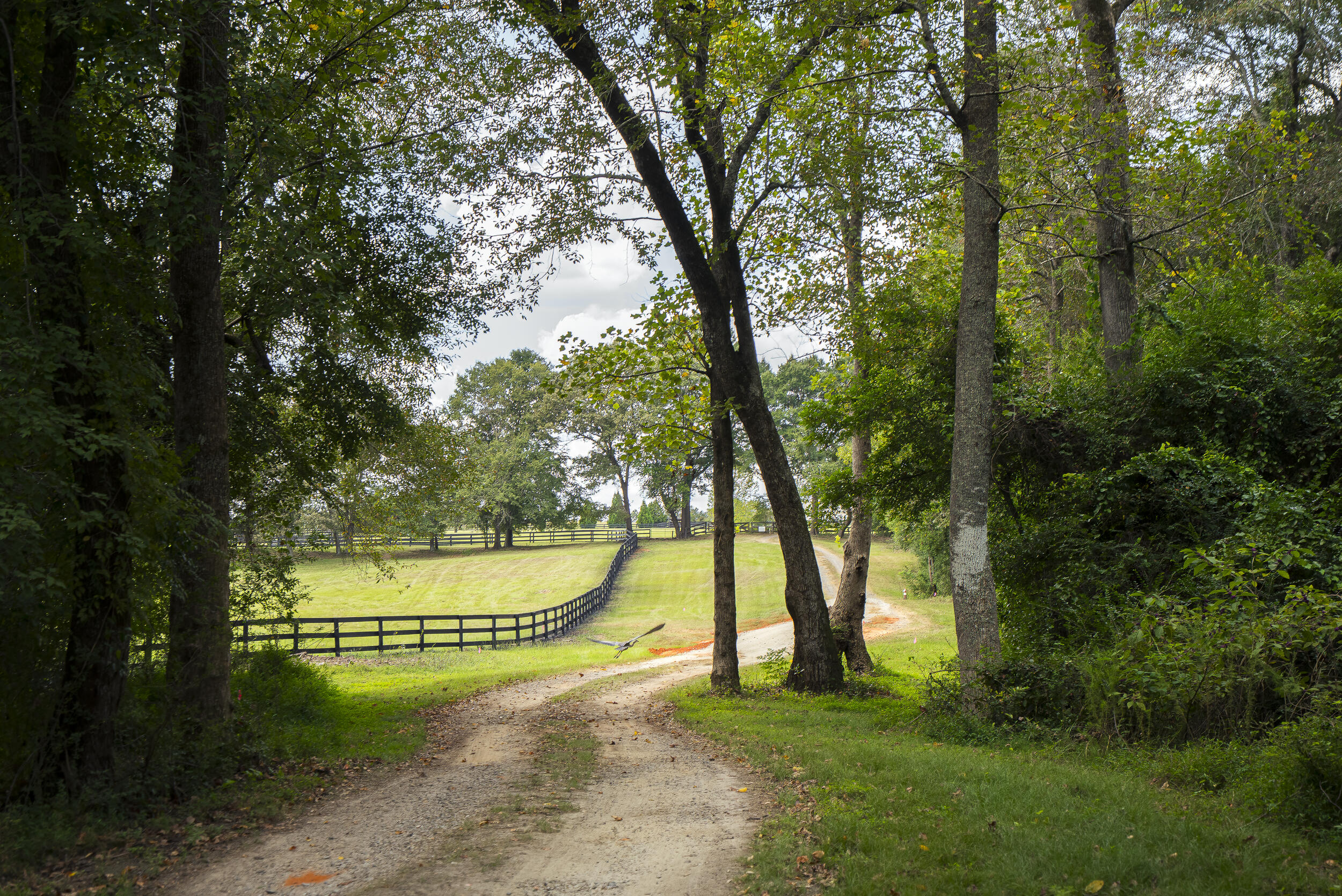 1165 Estancia Lane, Wagener