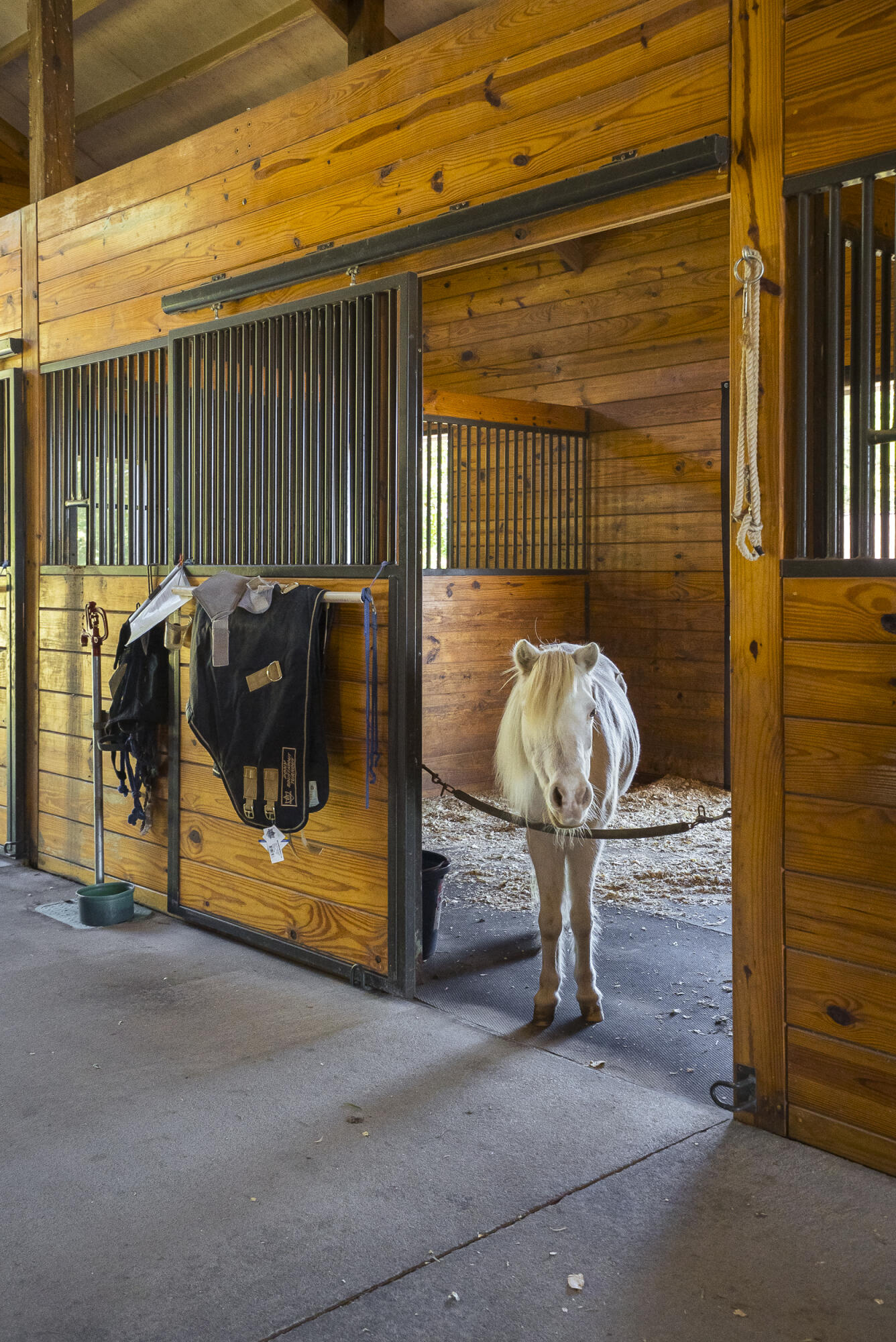 1165 Estancia Lane, Wagener