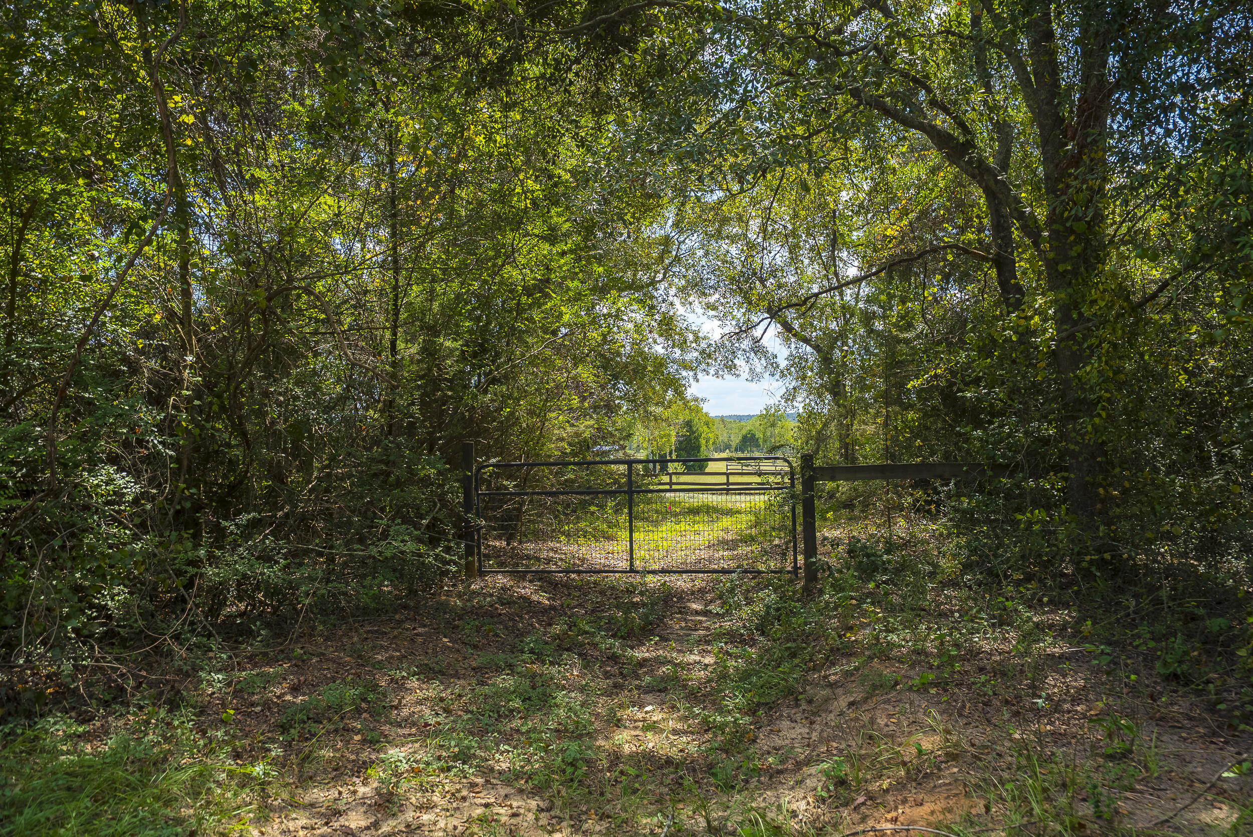 1165 Estancia Lane, Wagener