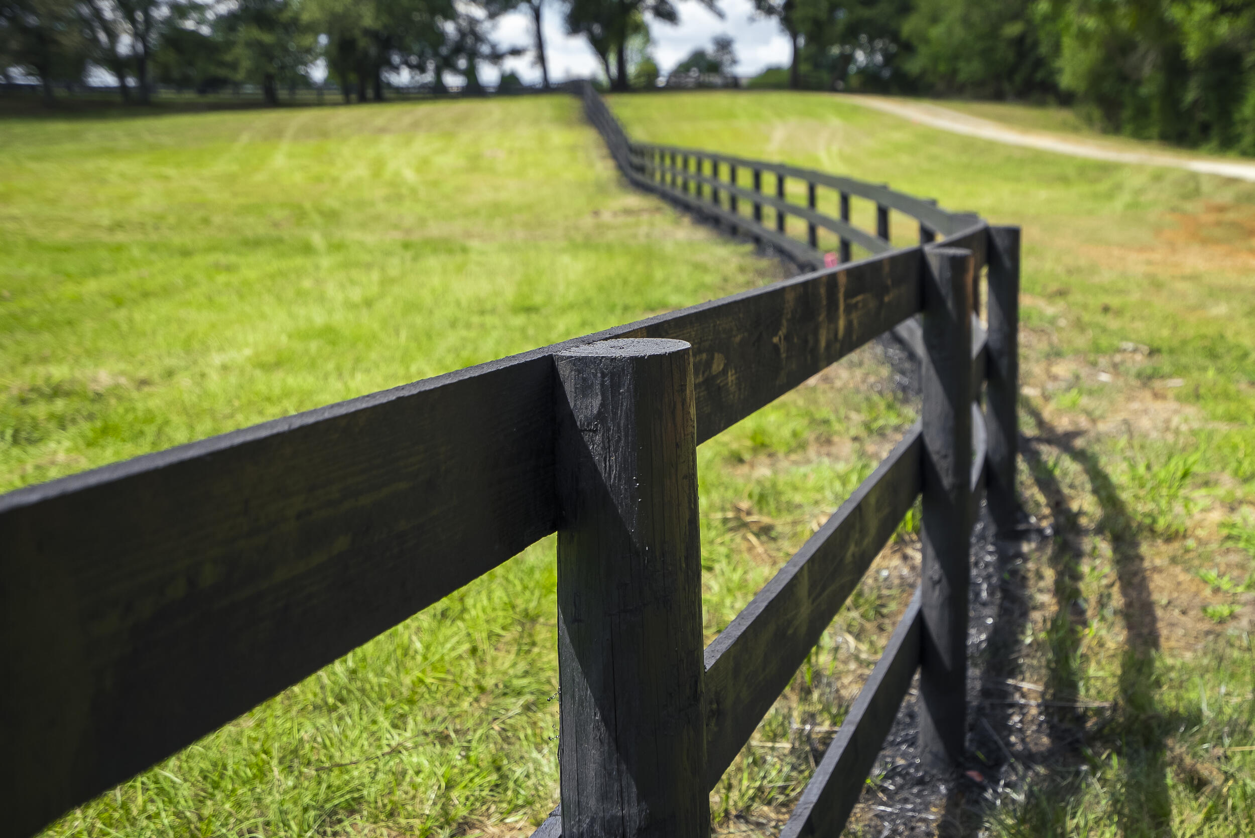 1165 Estancia Lane, Wagener